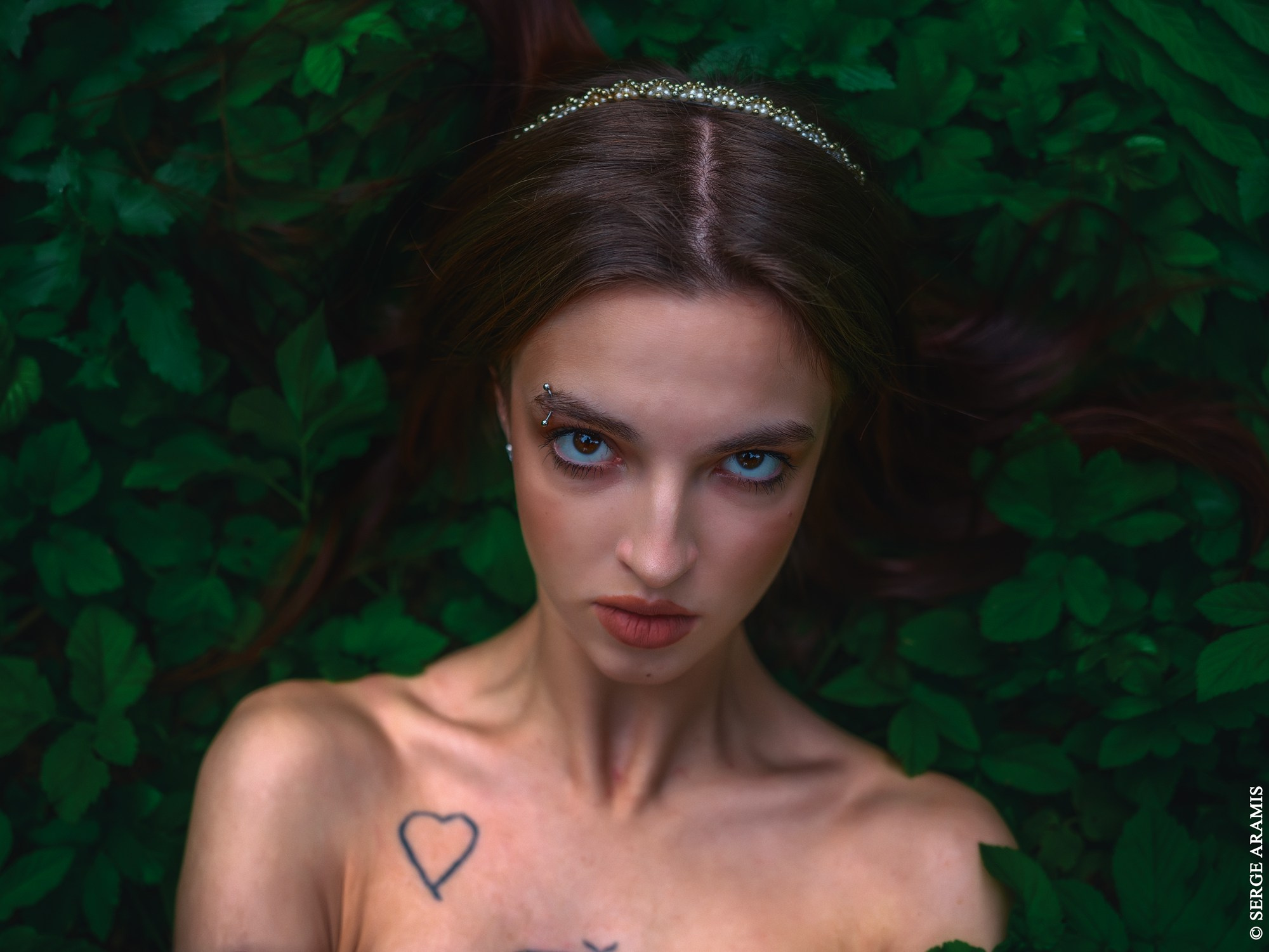 Создание чувственного портрета от Serge Aramis