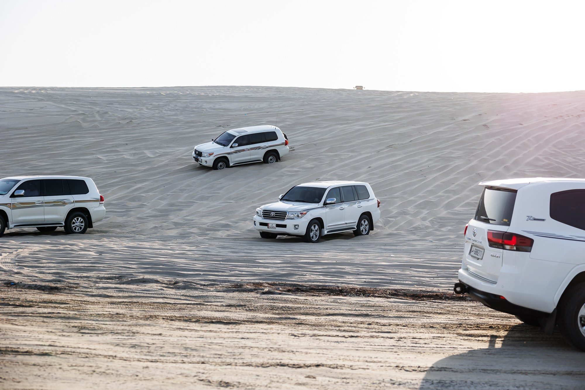 Корпоративный выезд в Qatar. Фотограф Дмитрий Елисеев
