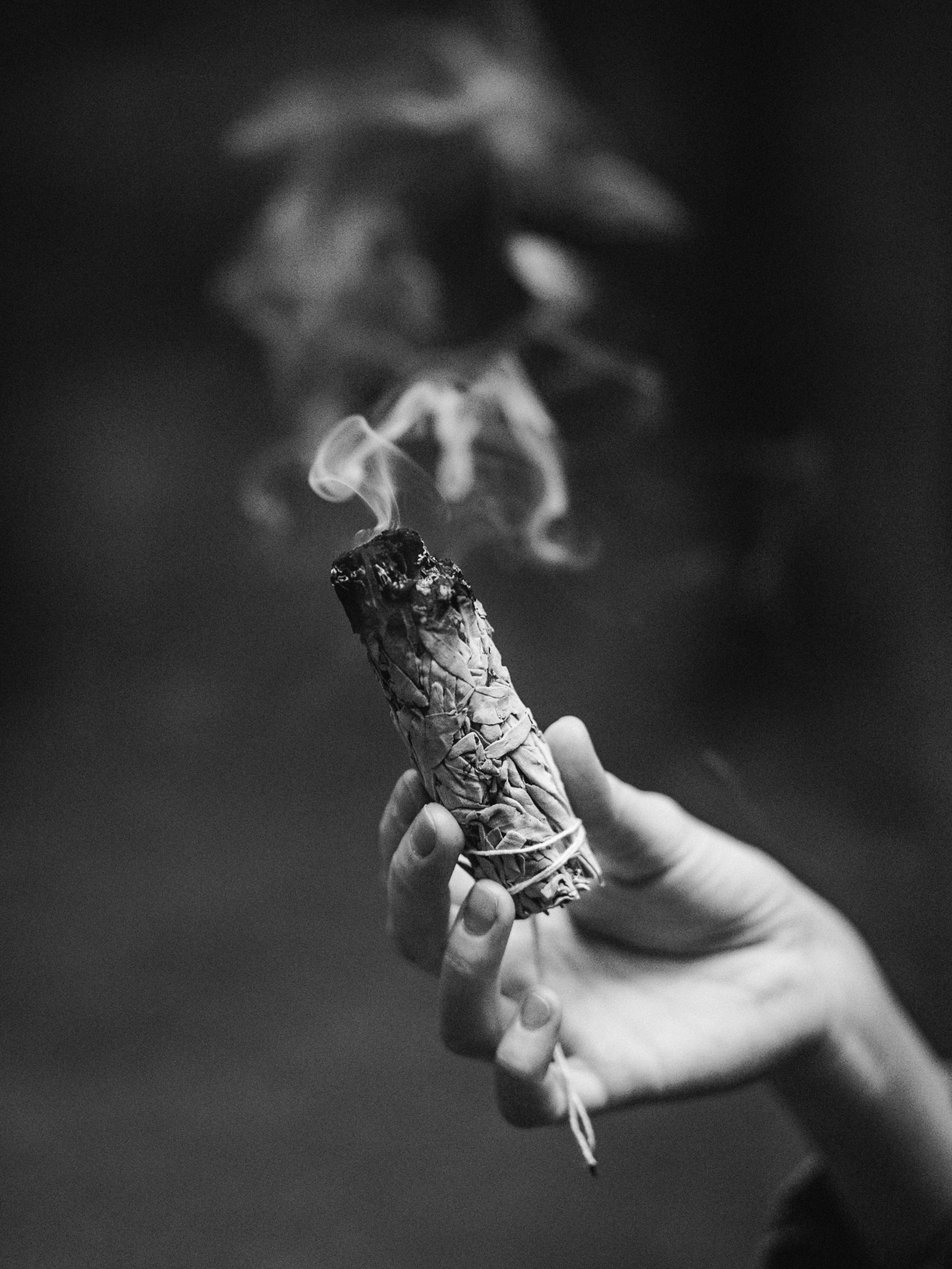 Ведьмин лес. Портретный и атмосферный фотограф Екатерина Шаврина