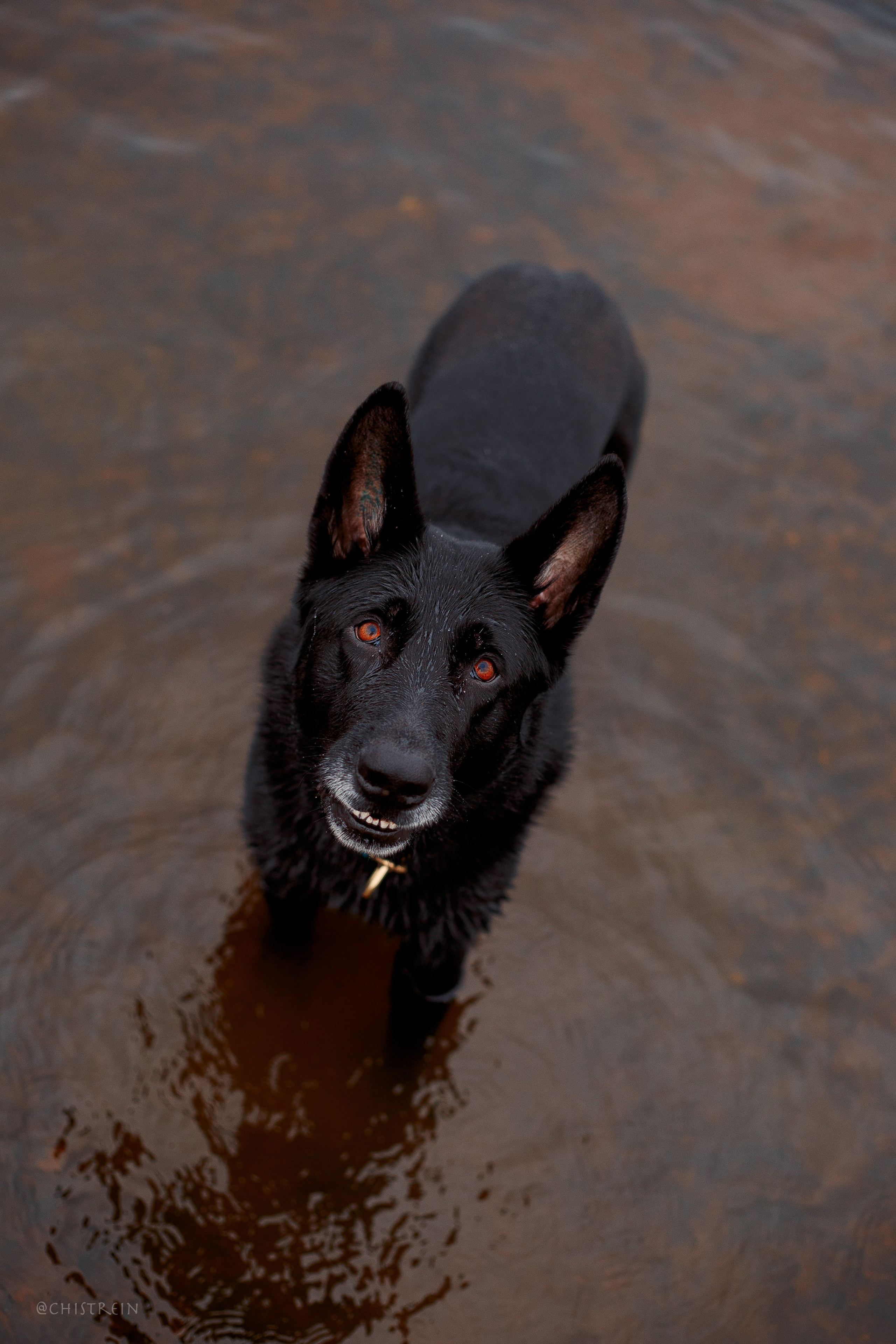 Дальний пирс. Фотограф-анималист Наталия Чистюхина в г. Сосновый Бор и ЛО