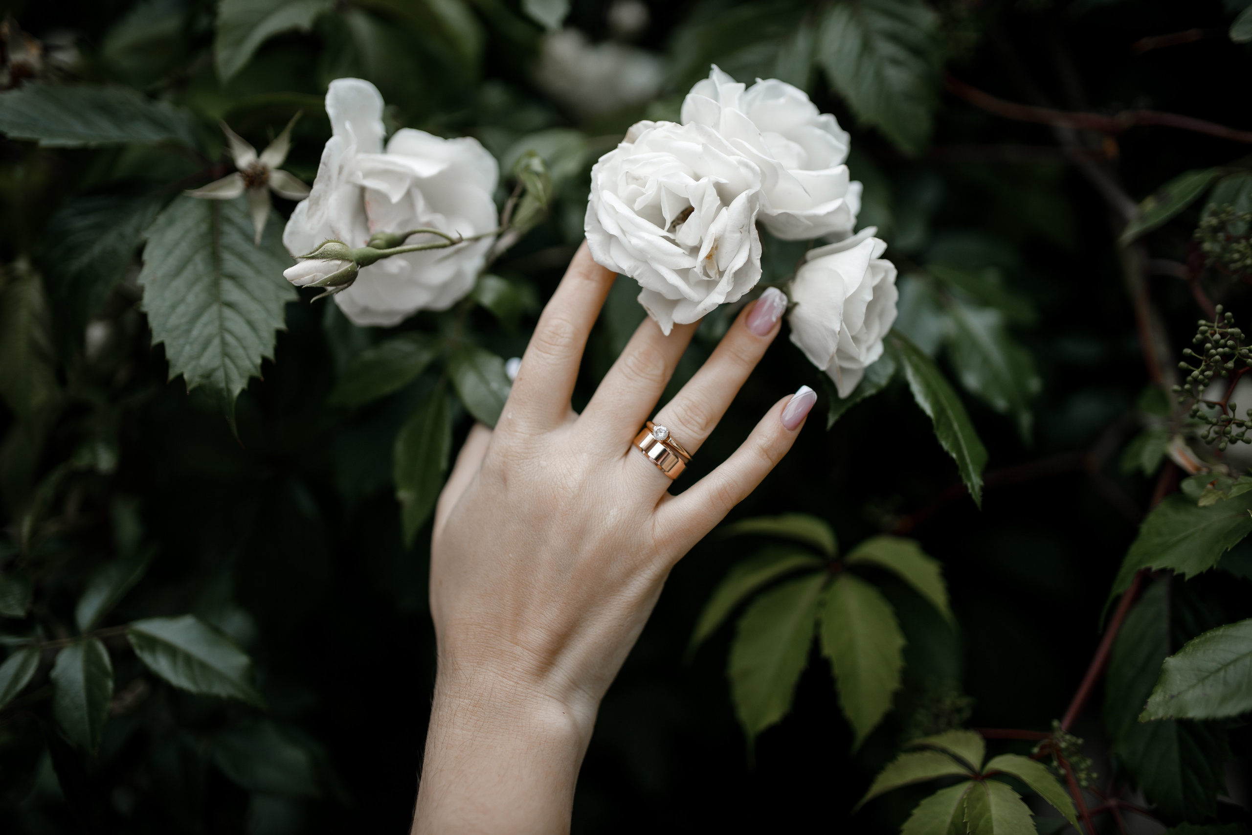 Анонс свадьбы Альбины и Алексея. Свадебный фотограф в Крыму и Севастополе Ольга Баскакова