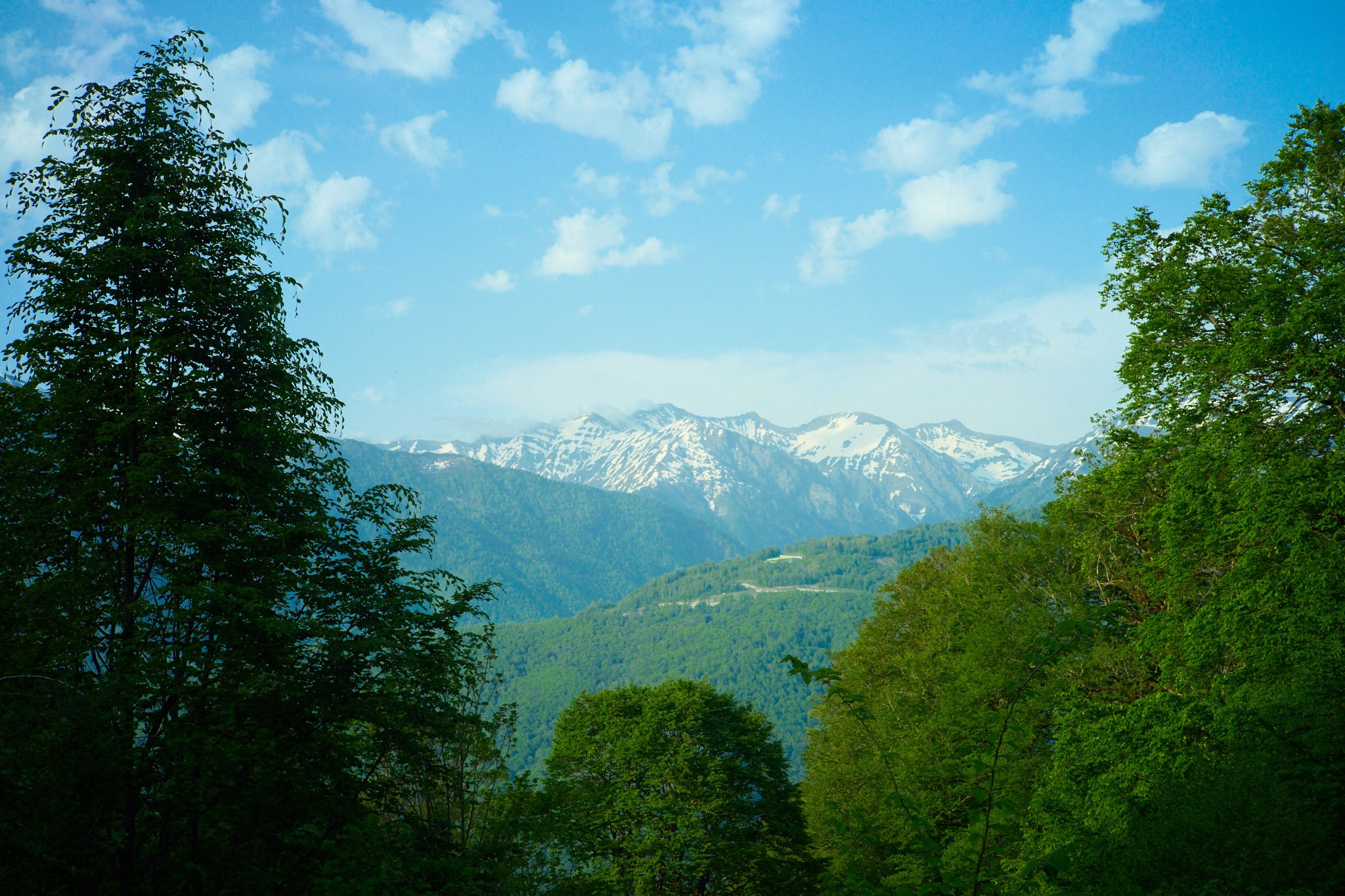 Красная Поляна, апрель 2024. Фотограф, Римма Невинская