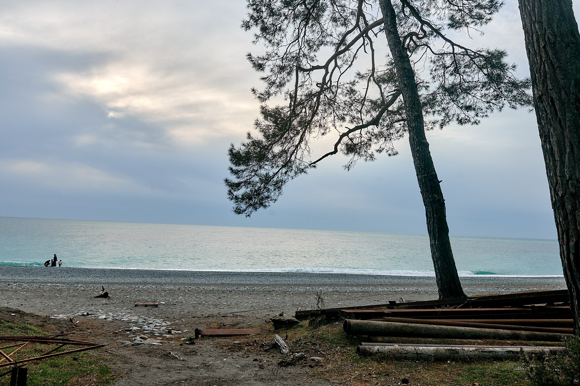 Пицунда, Абхазия. Декабрь 2024. Фотографии отовсюду и обо всем