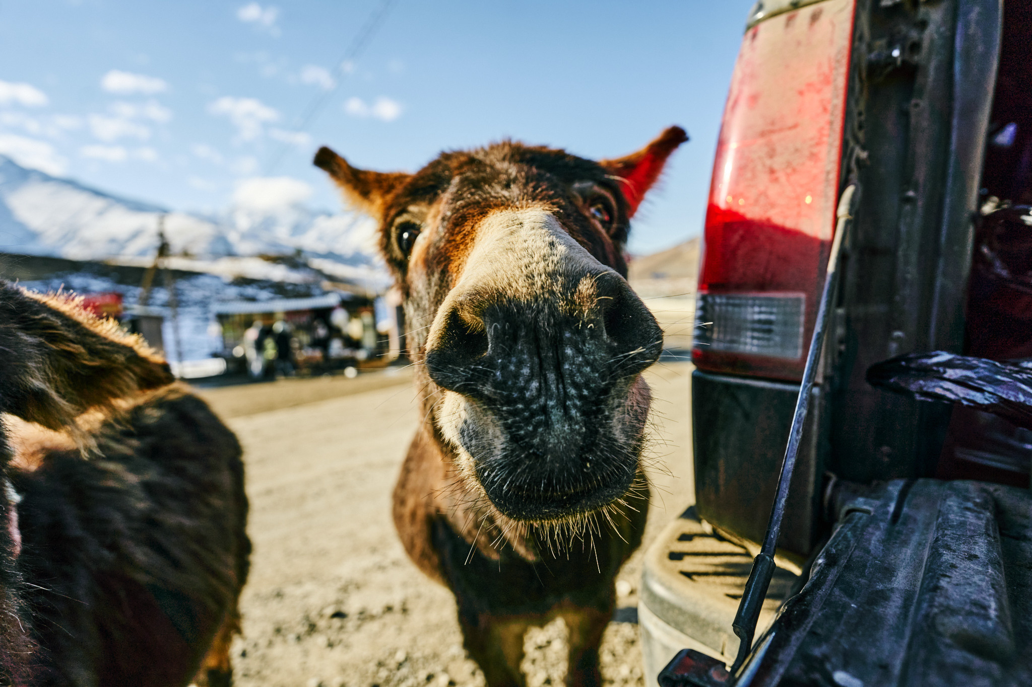 Путешествие на Кавказ в 2022 году. Внедорожные путешествия — OFFROADTRIP