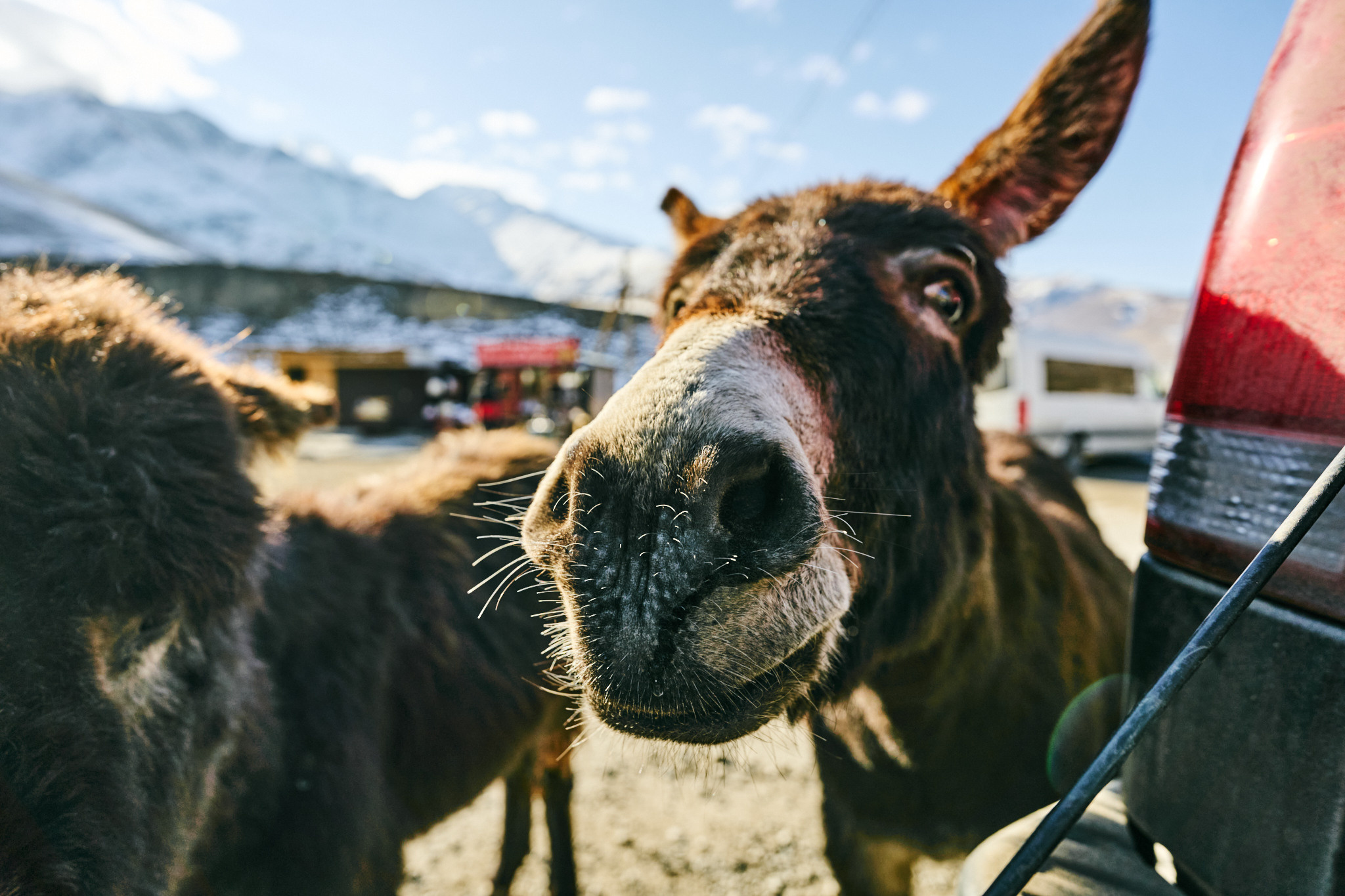 Путешествие на Кавказ в 2022 году. Внедорожные путешествия — OFFROADTRIP