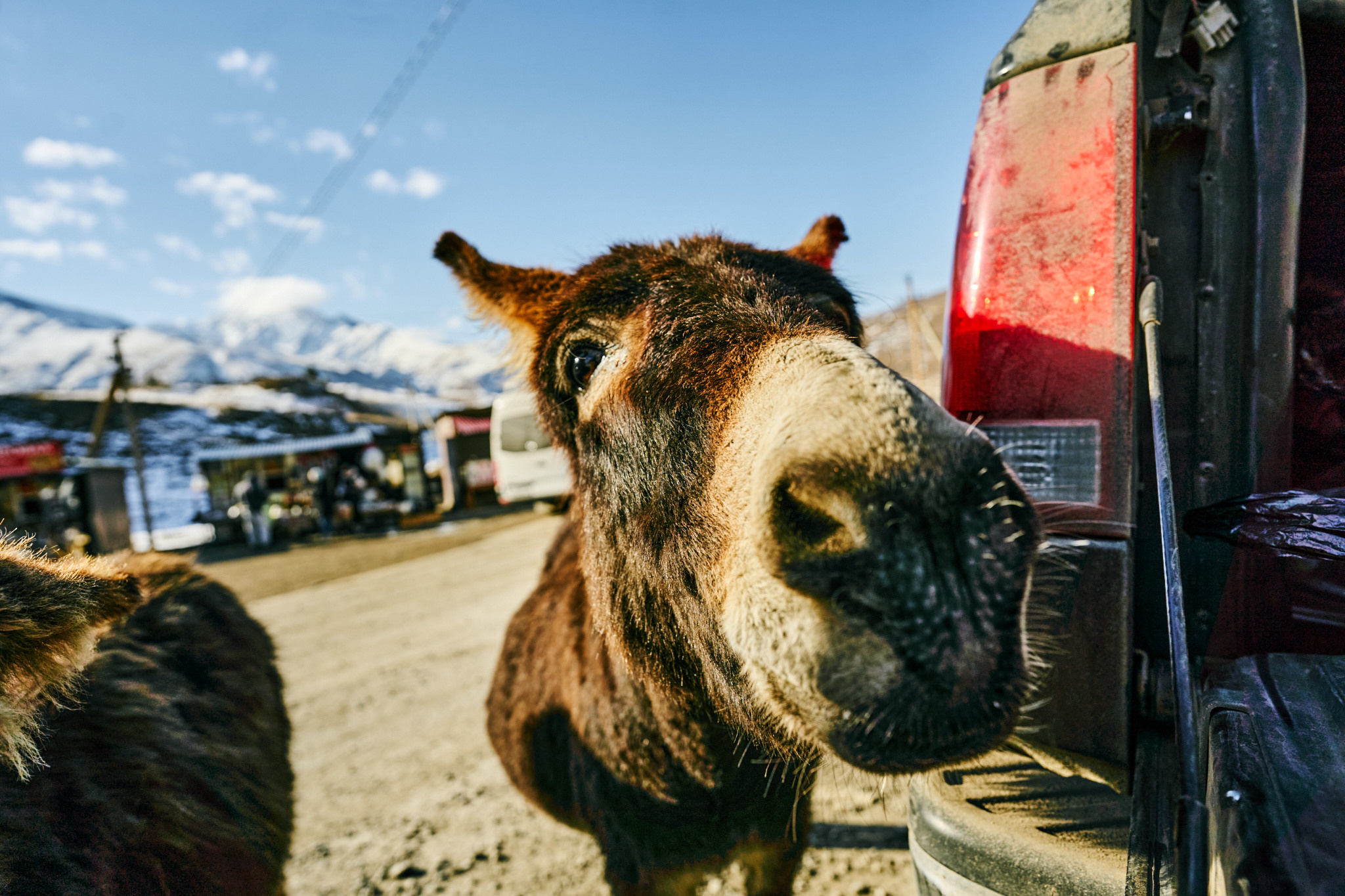 Путешествие на Кавказ в 2022 году. Внедорожные путешествия — OFFROADTRIP
