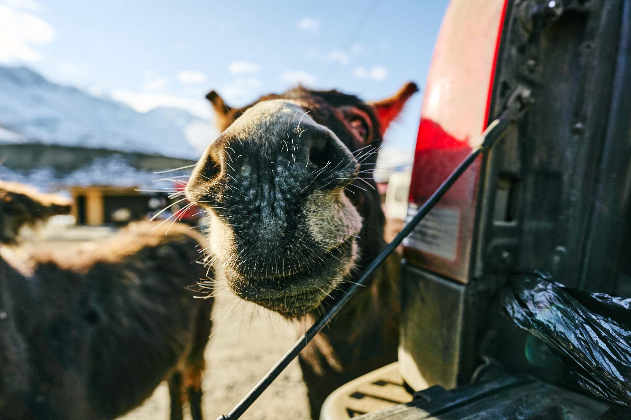 Путешествие на Кавказ в 2022 году. Внедорожные путешествия — OFFROADTRIP