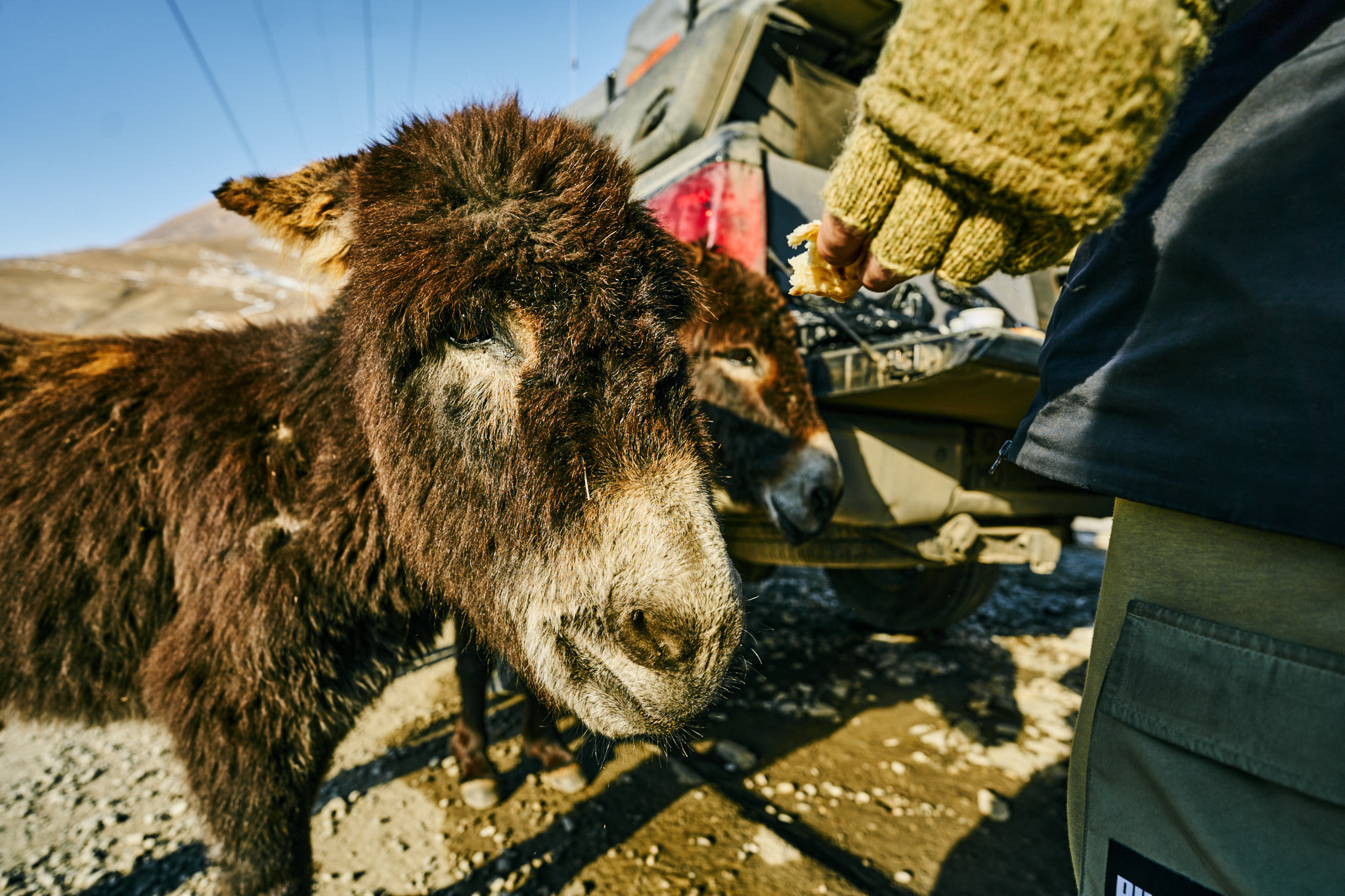 Путешествие на Кавказ в 2022 году. Внедорожные путешествия — OFFROADTRIP