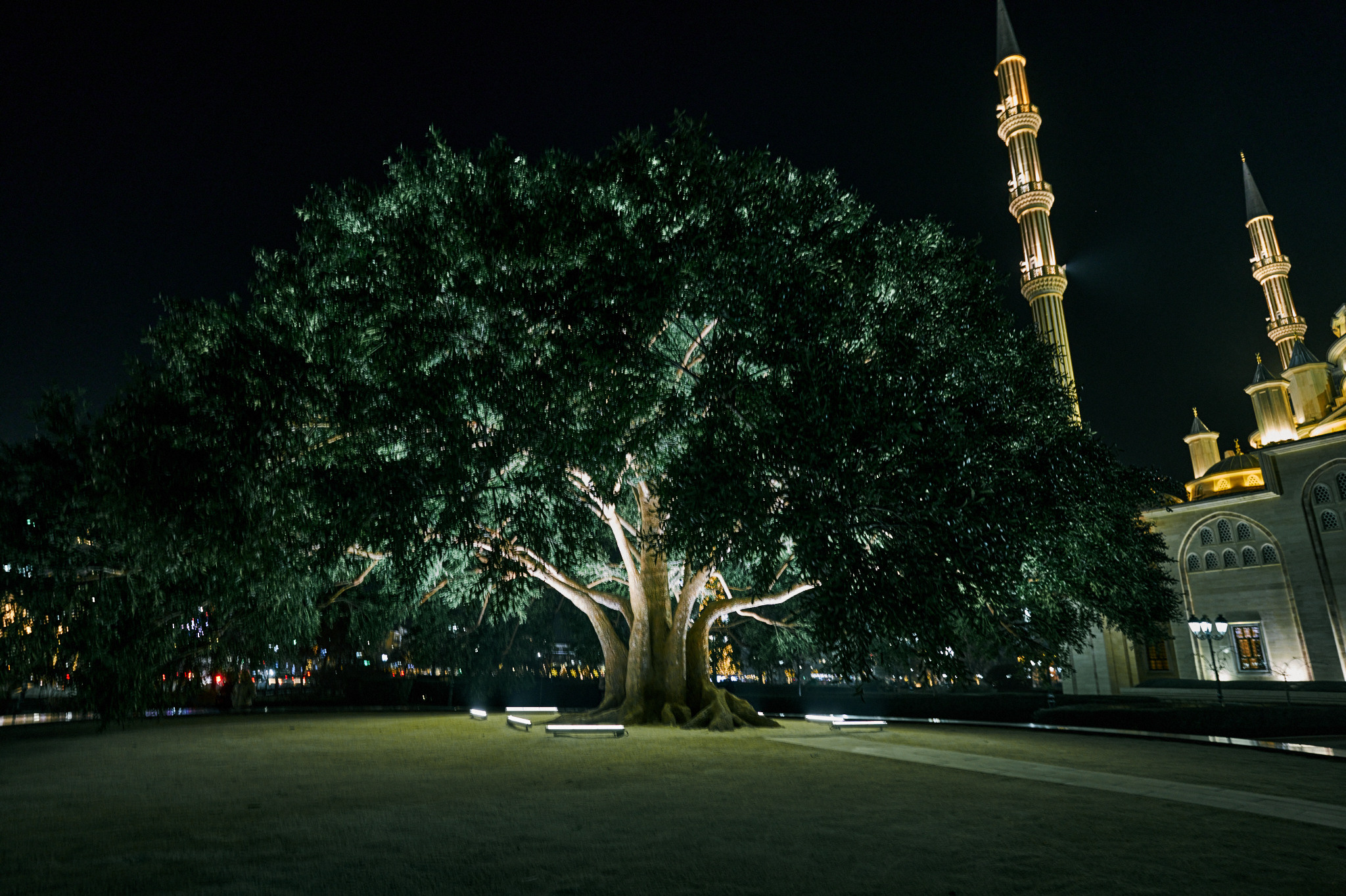 Путешествие на Кавказ в 2022 году. Внедорожные путешествия — OFFROADTRIP