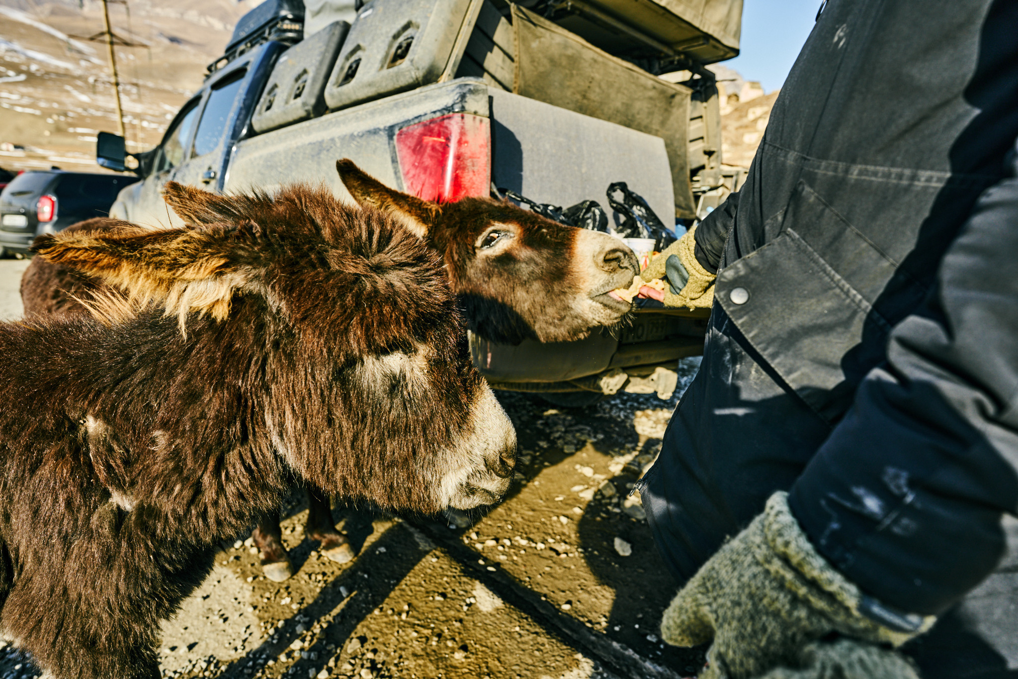Путешествие на Кавказ в 2022 году. Внедорожные путешествия — OFFROADTRIP
