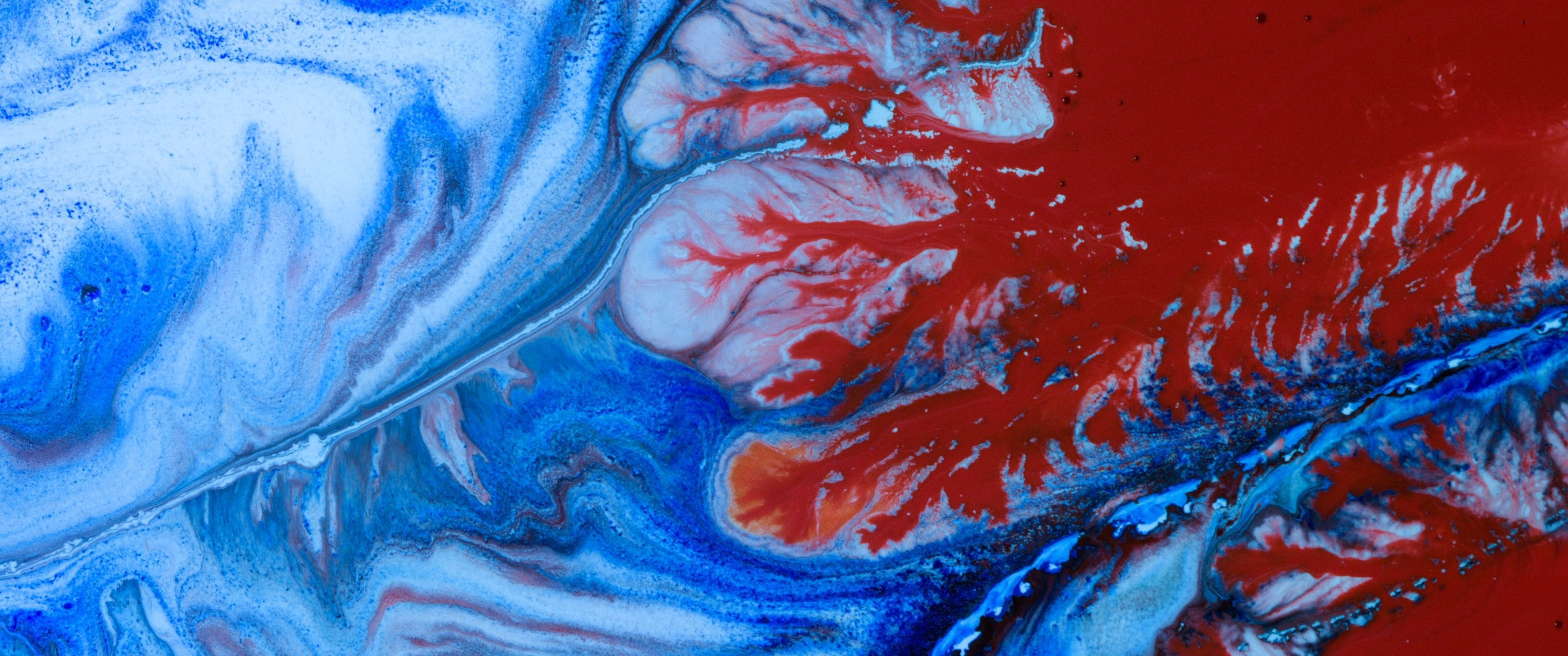 Genesis. Short films by Vadim Sherbakov