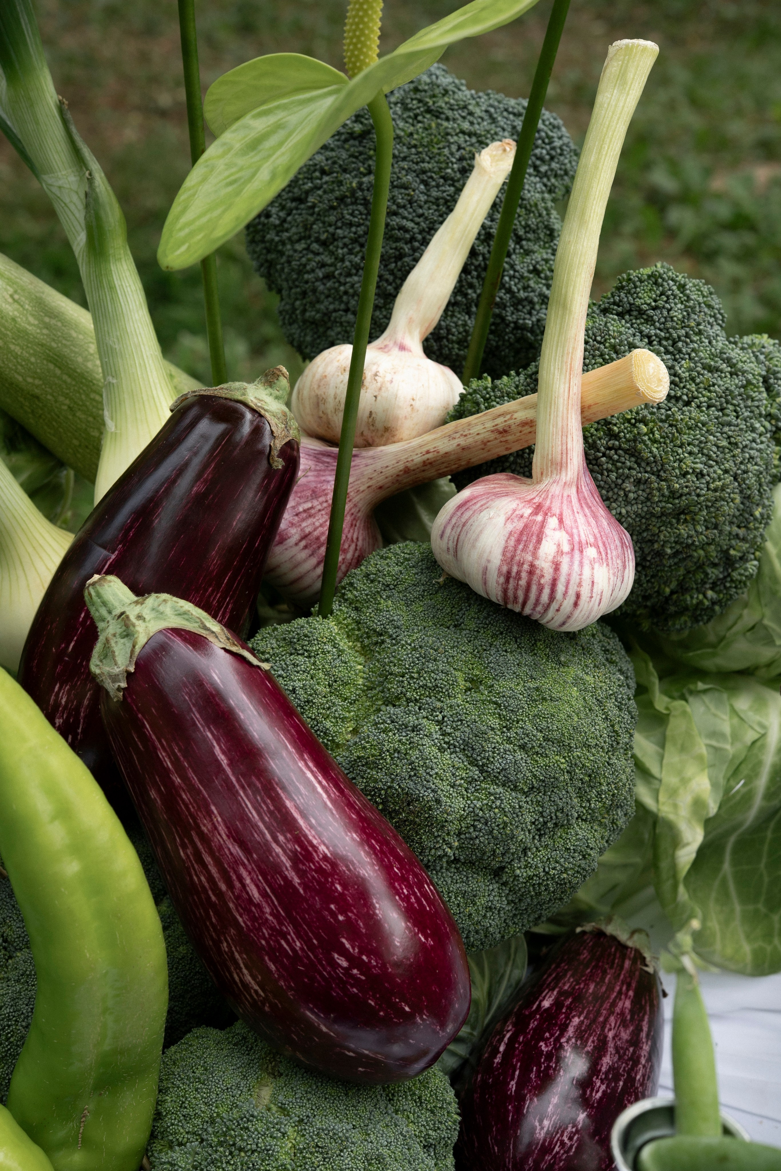 Ты выбираешь чудеса. Фотограф Евгения Мирошниченко