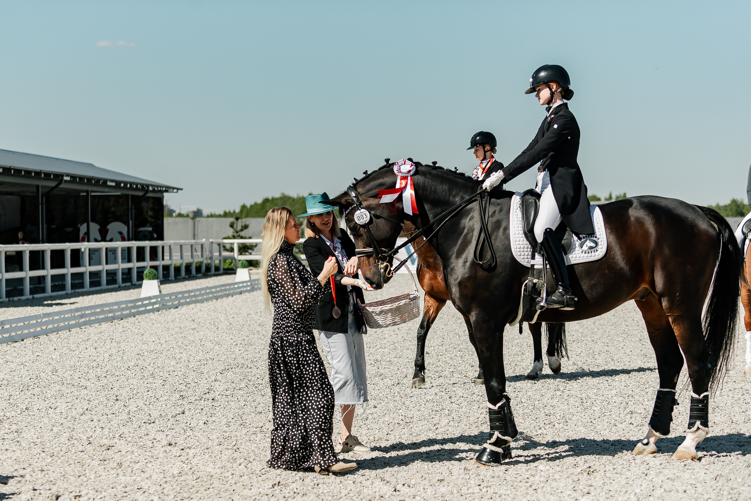 РЕПОРТАЖ МКК ВОЛЬТ «LA TULIPS». Конный фотограф Куракина Дарья • Фотосессии с лошадьми