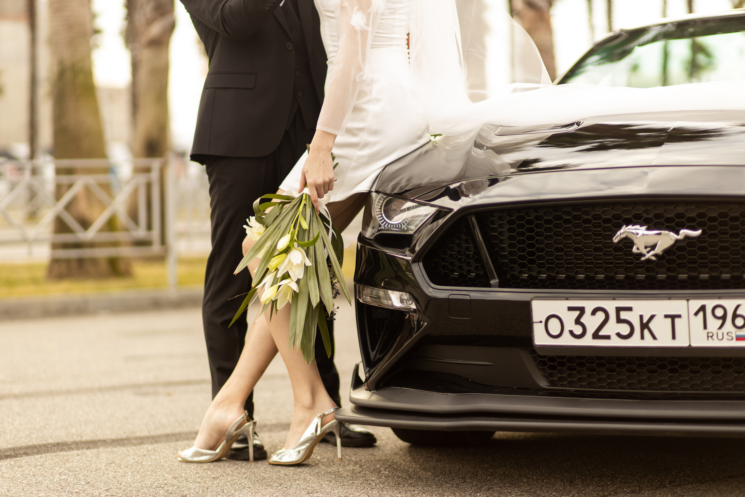 PALM LOVE. Валерия Солнцева свадебный и семейный фотограф