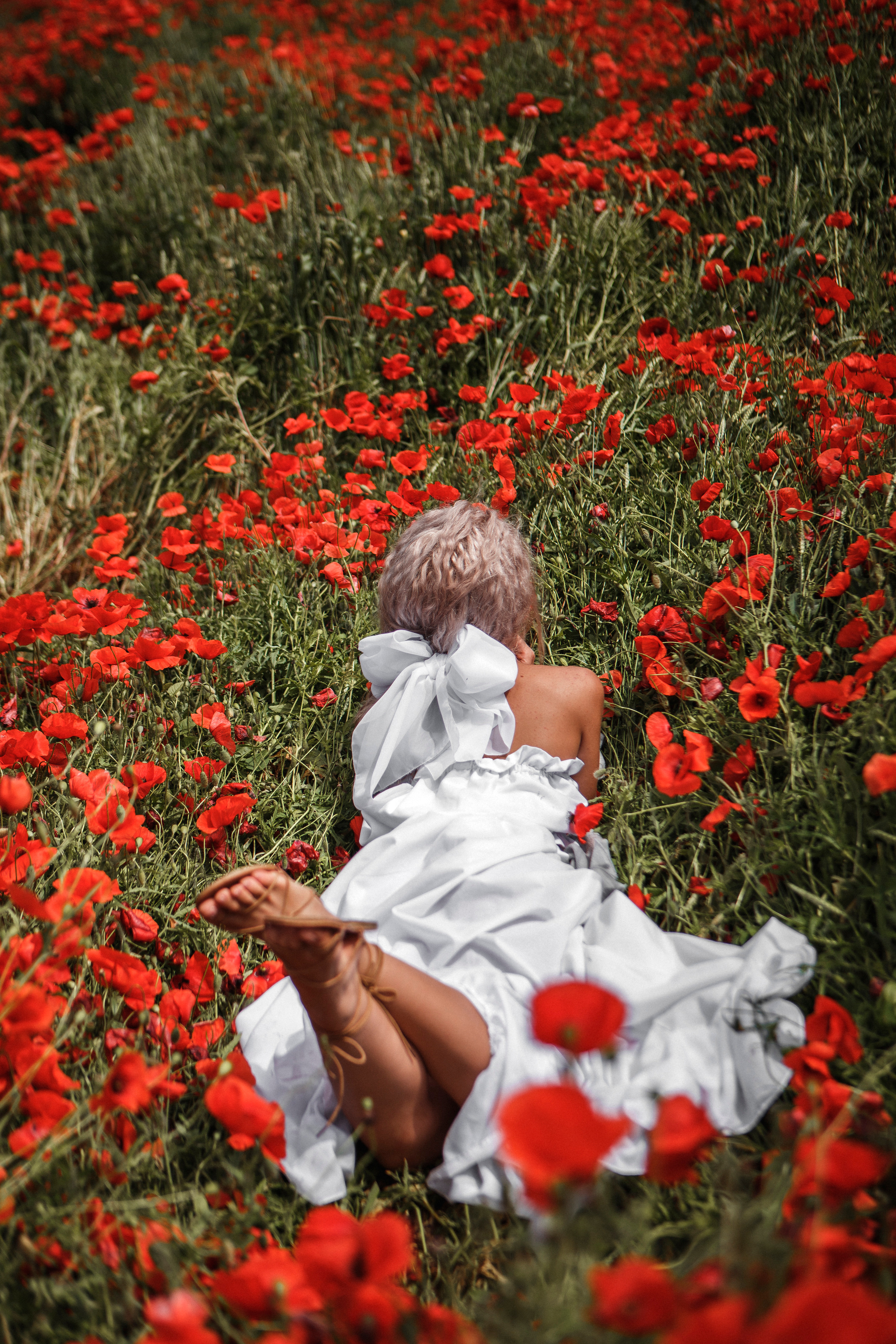 Маковая нежность. Валерия Солнцева свадебный и семейный фотограф