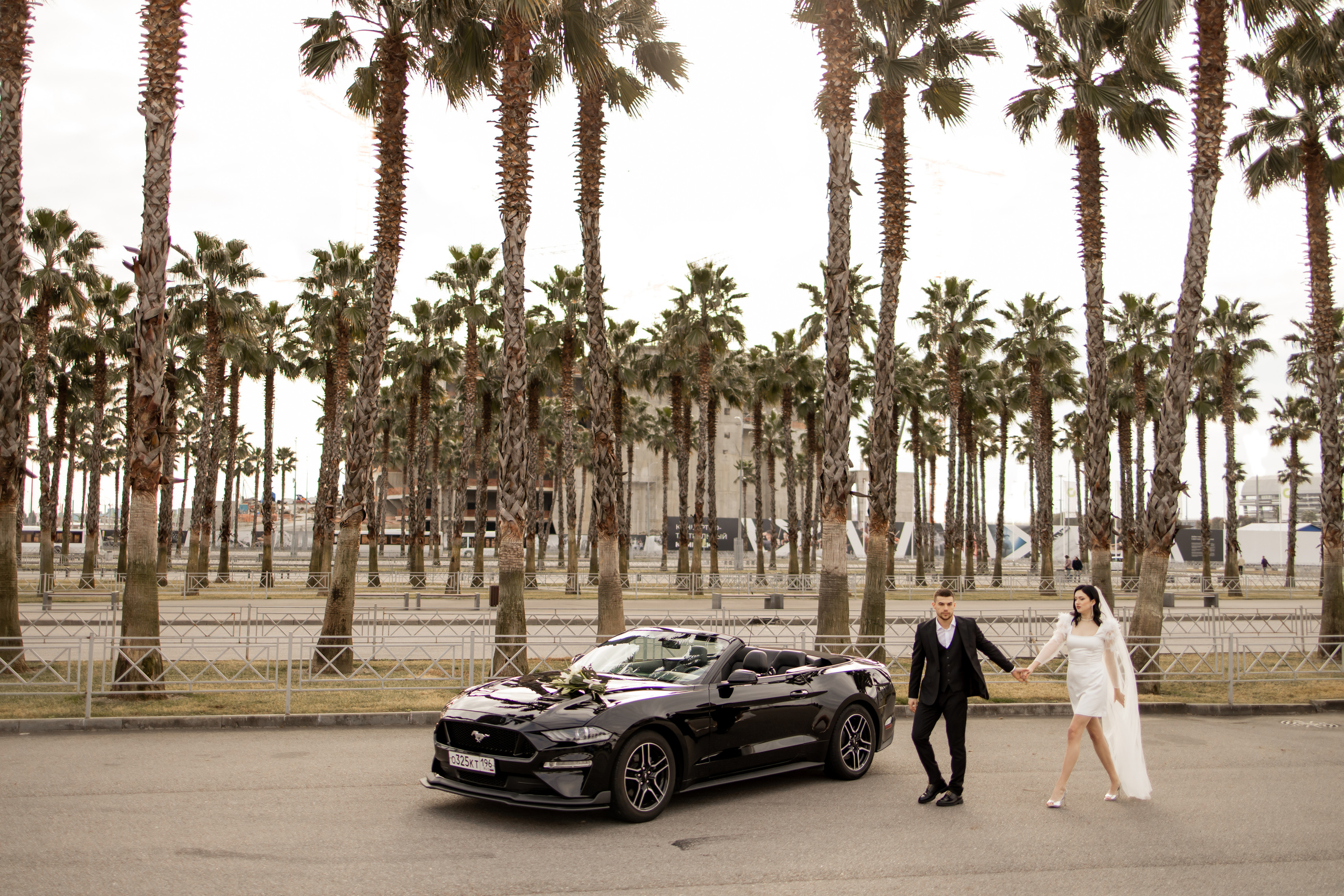 PALM LOVE. Валерия Солнцева свадебный и семейный фотограф