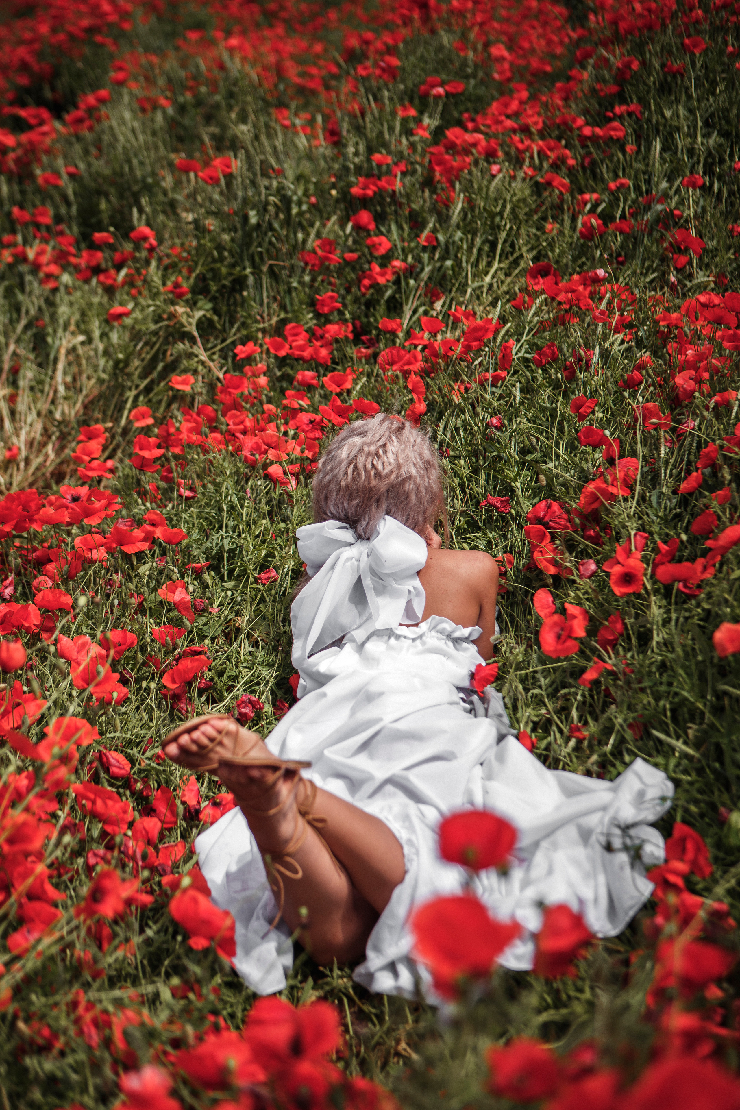Маковая нежность. Валерия Солнцева свадебный и семейный фотограф