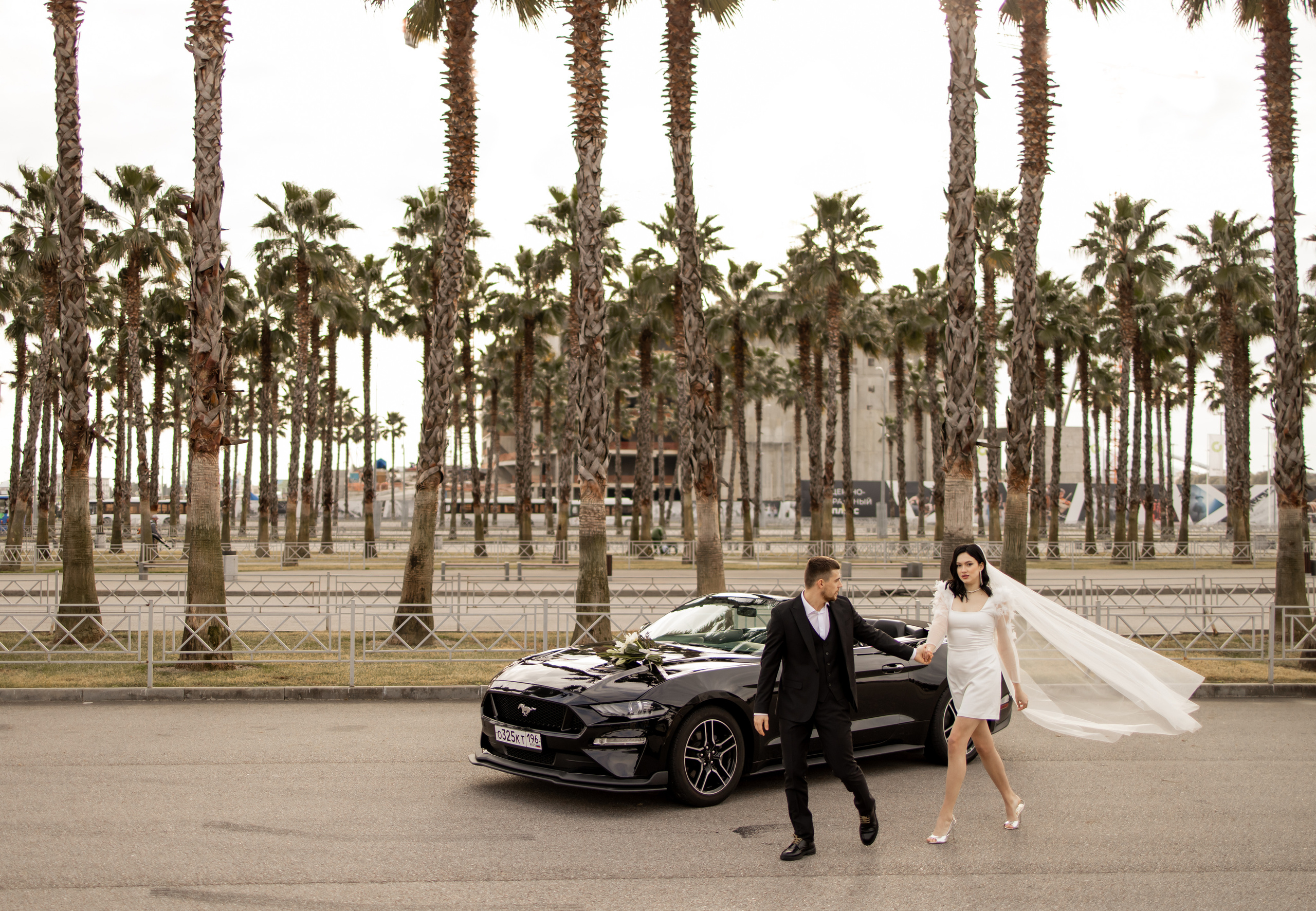 PALM LOVE. Валерия Солнцева свадебный и семейный фотограф