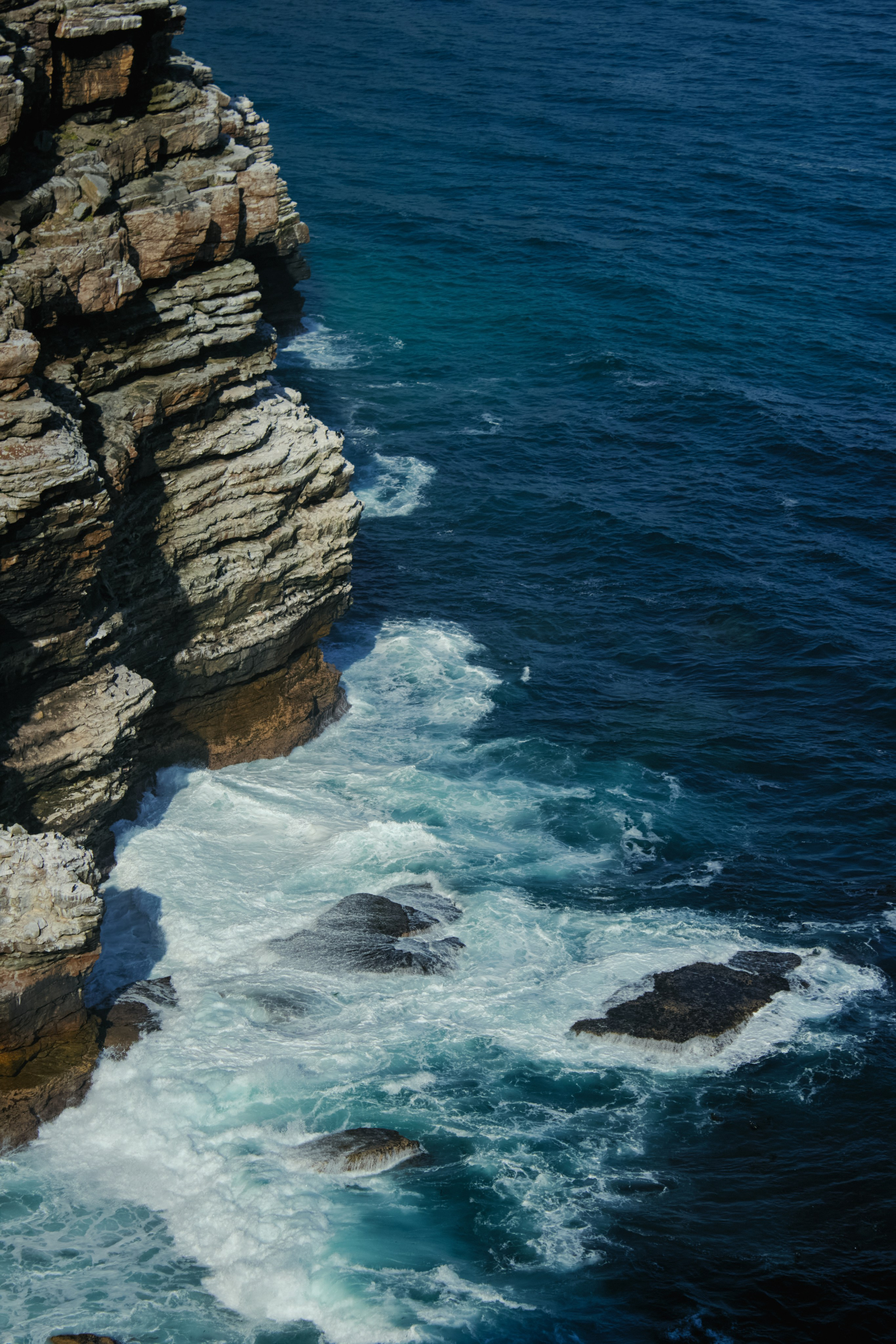 ЮАР. Профессиональный Фотограф во Владимире, в Москве и в Суздале — Полина Романычева