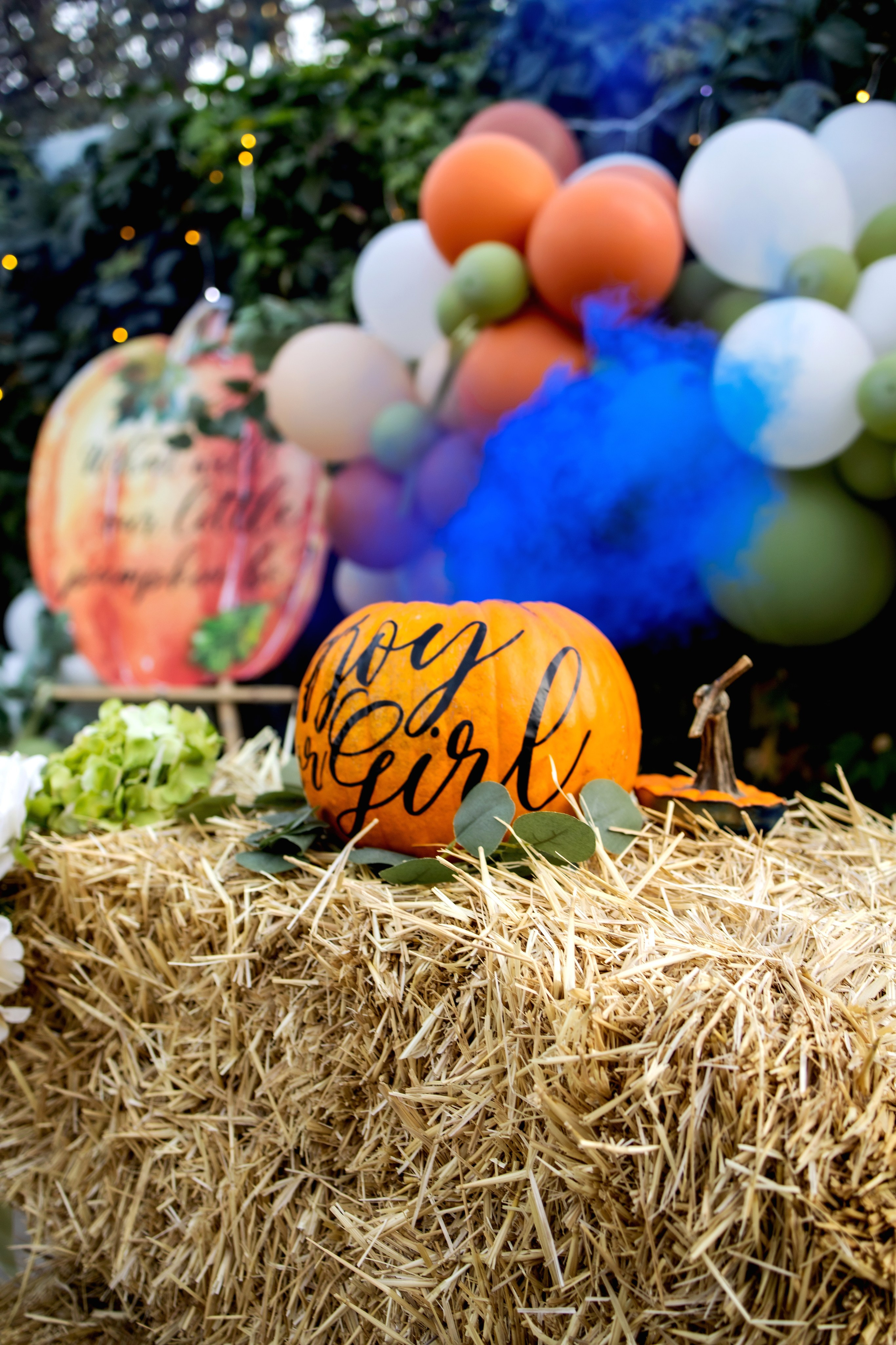 Гендер-Пати. Фотограф Надежда Лукьянова