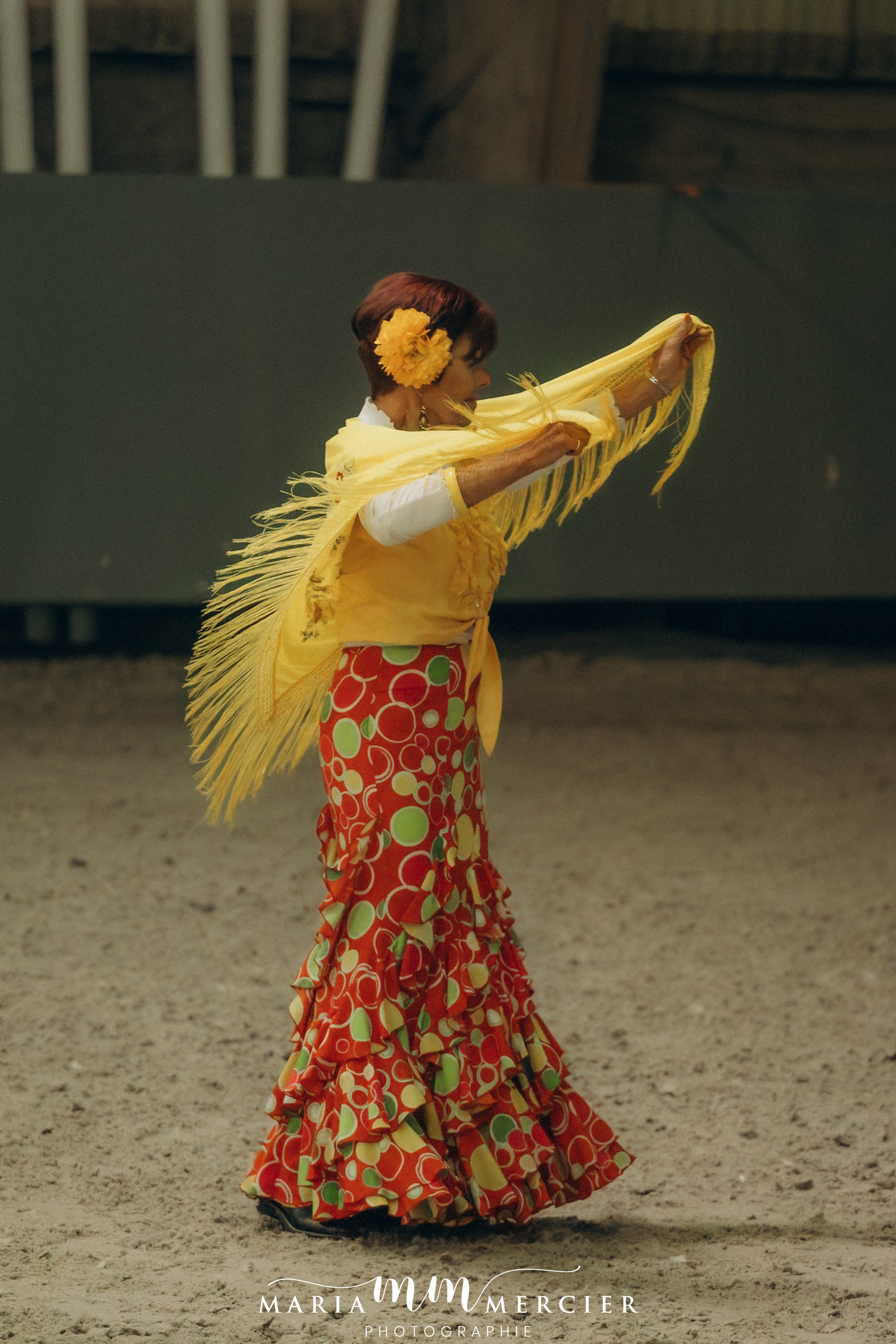 Evènements. Photographe des familles et enfants à Nantes et alentours