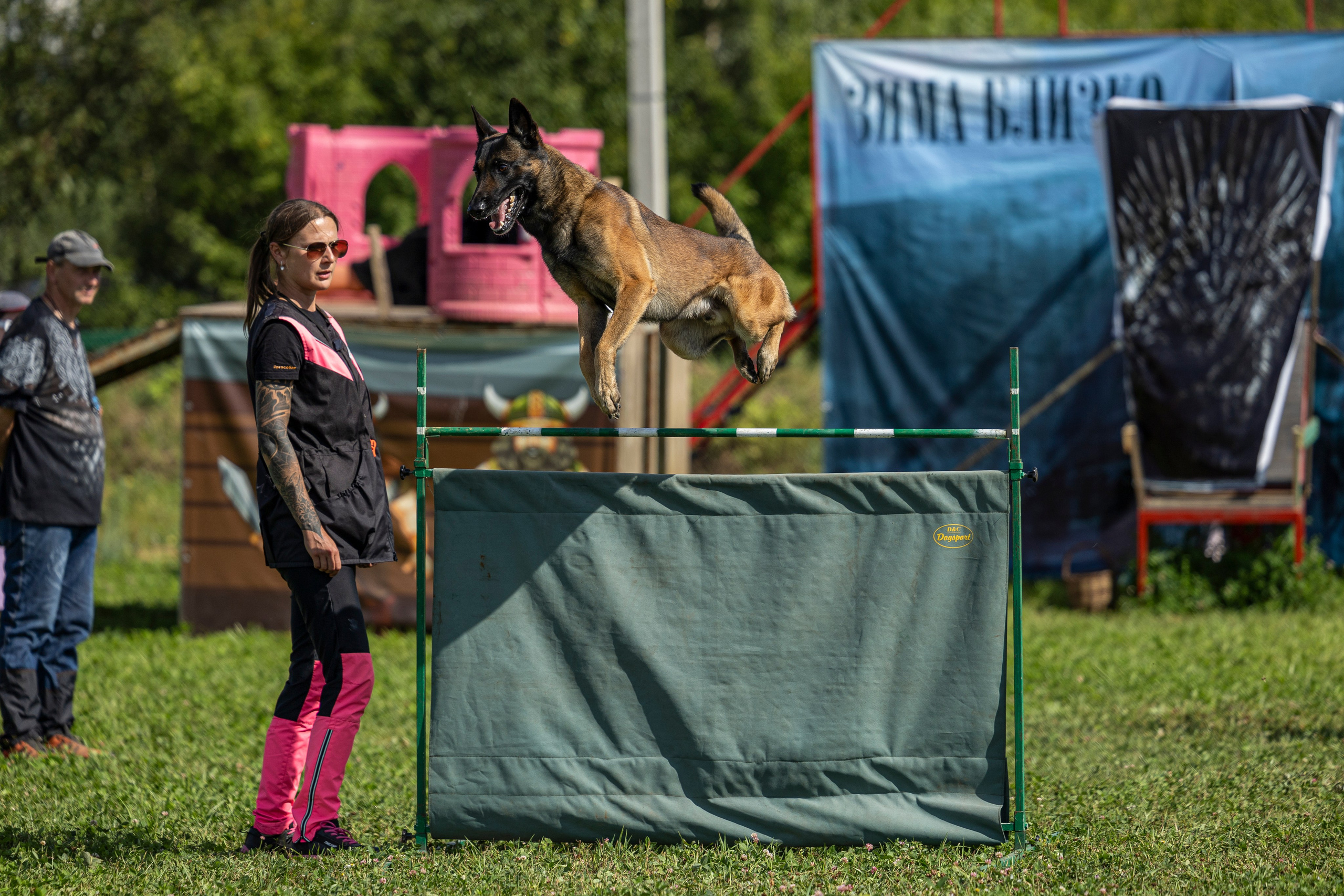 Соревнования по Мондьорингу г. Вологда 10-11.08.2024. Фотограф-анималист Анна Маринич