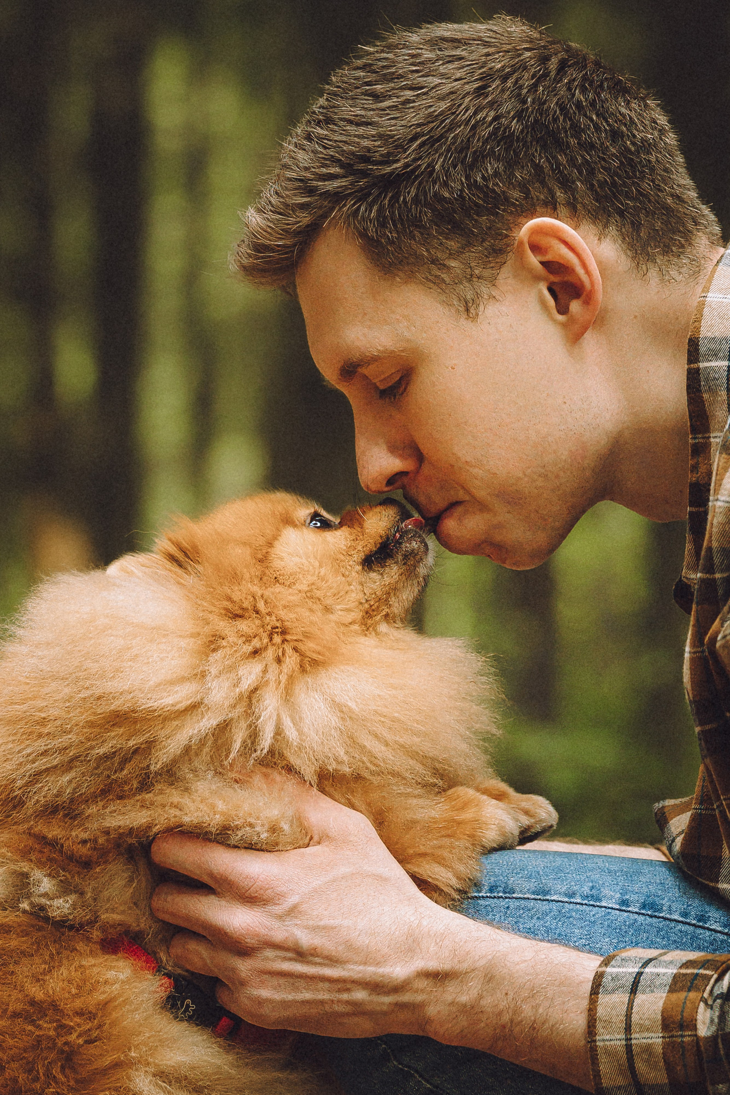 Лорик и его семья