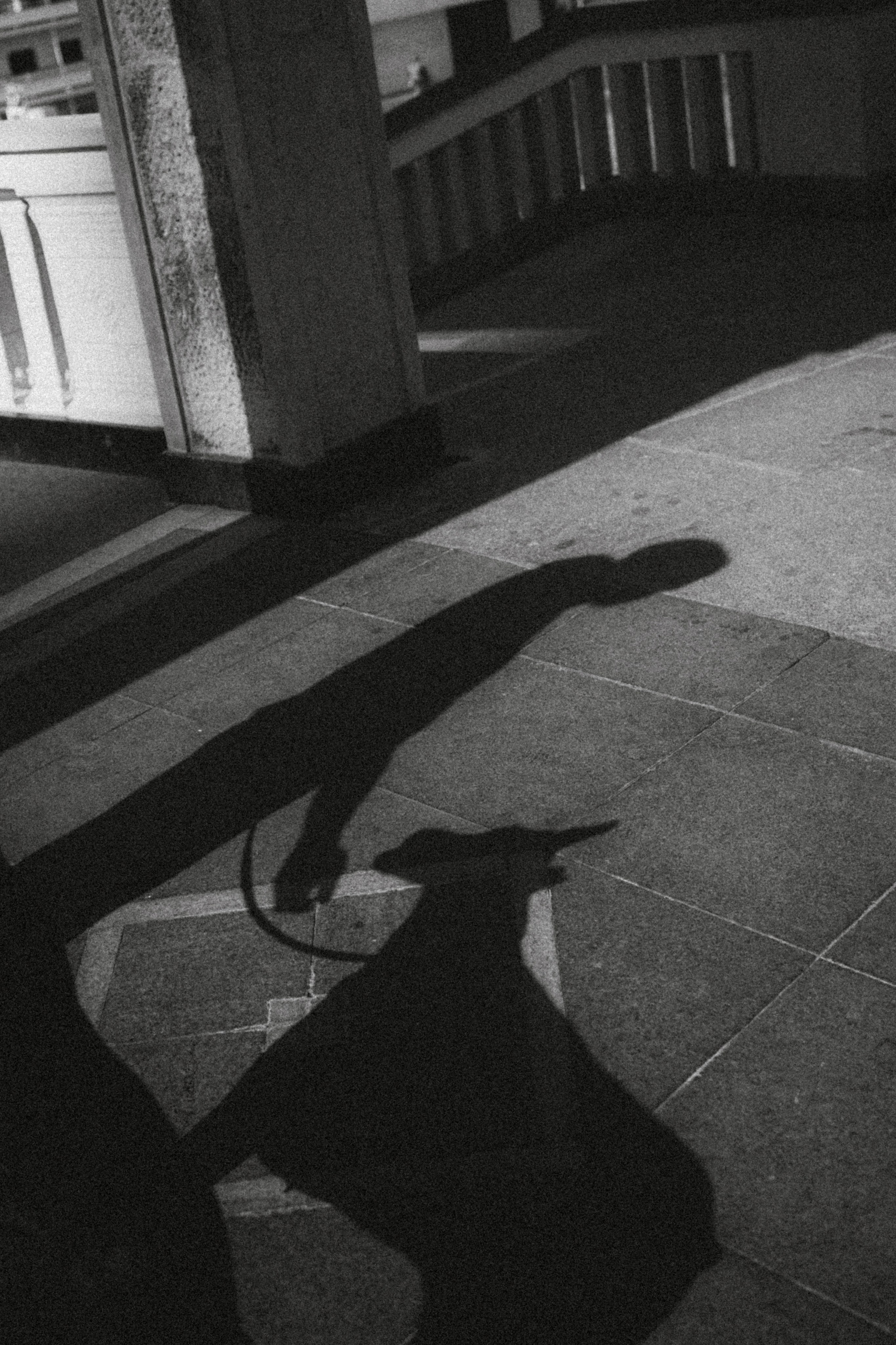 Паша и Хайди