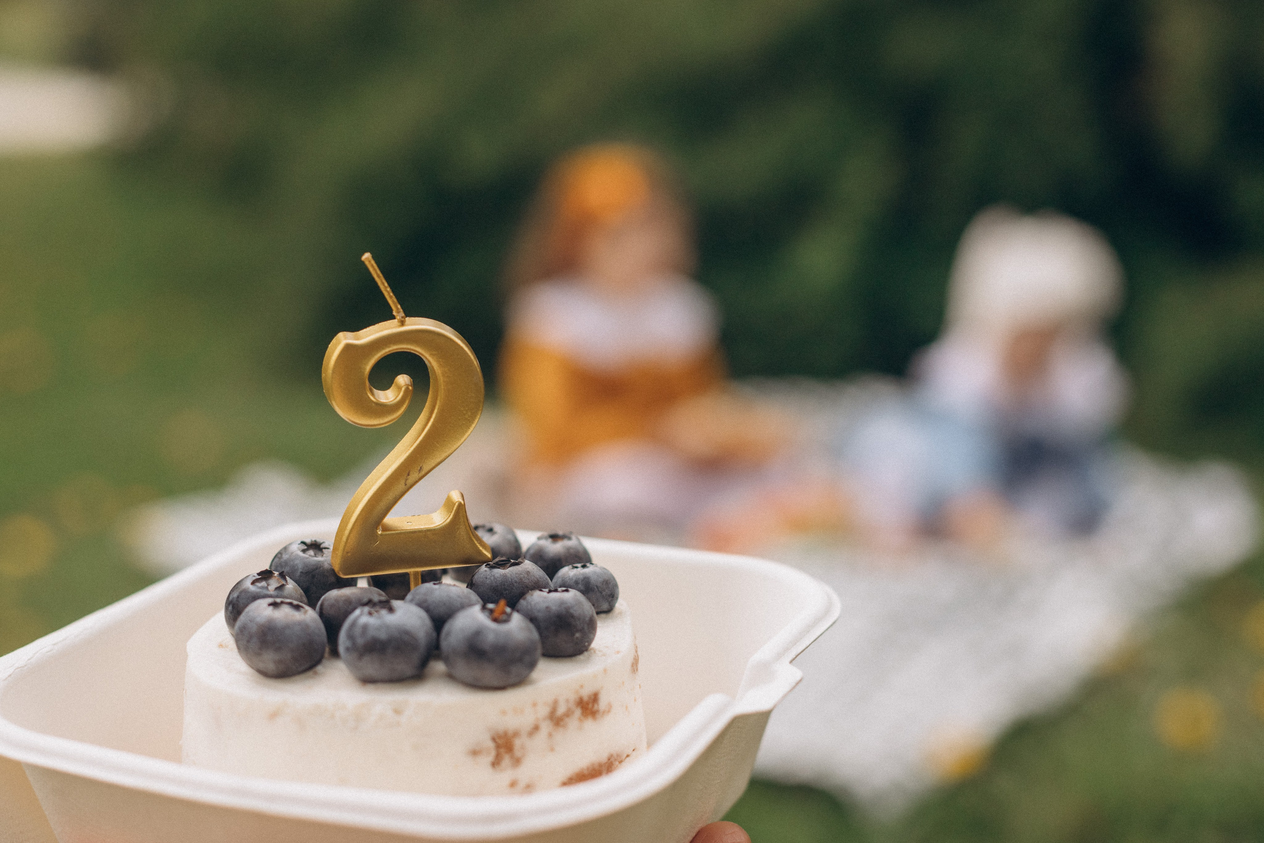 Пикник в парке. Детский и семейный фотограф в Москве Светлана Шабалина