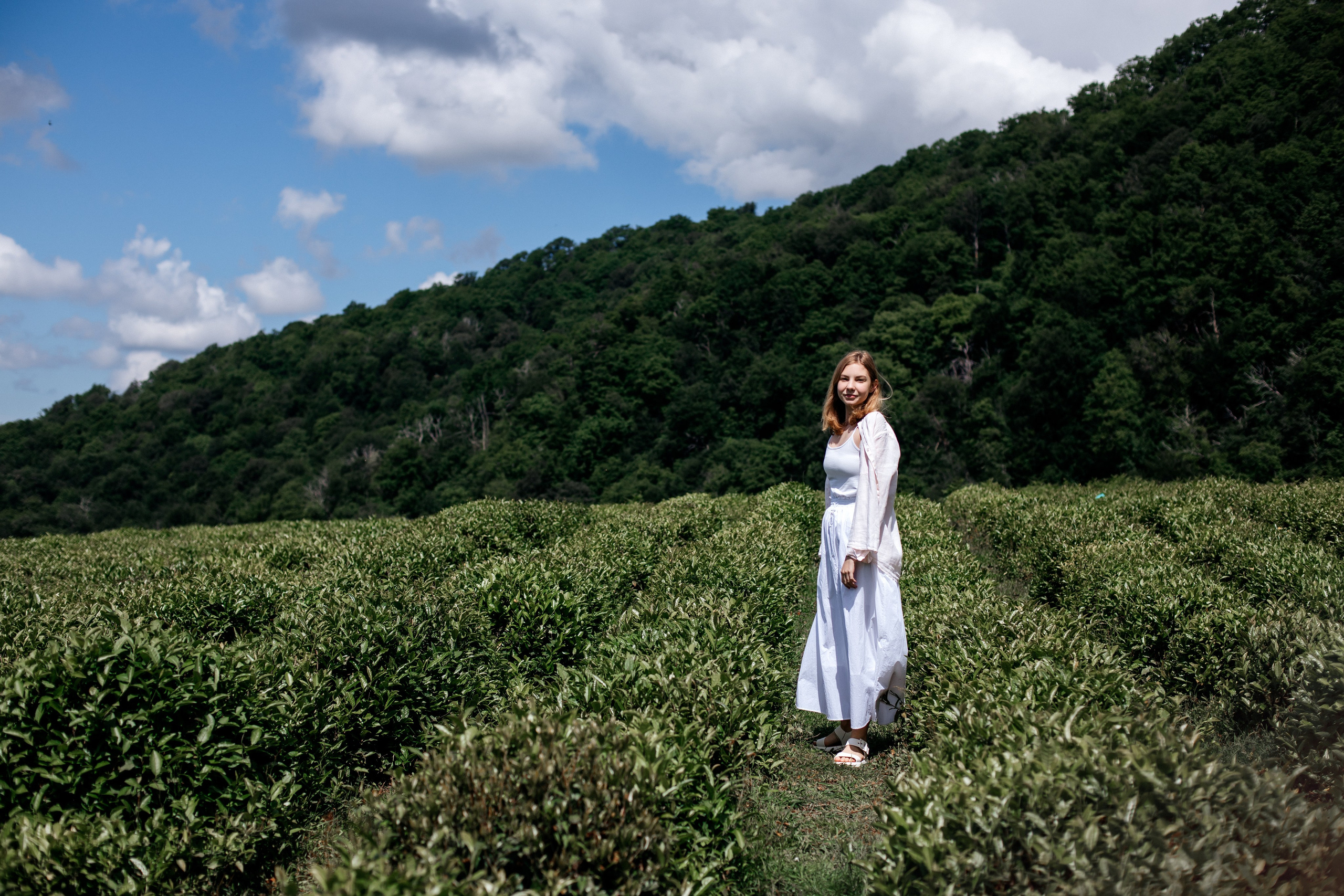 Tea plantation. Efimova Model Agency