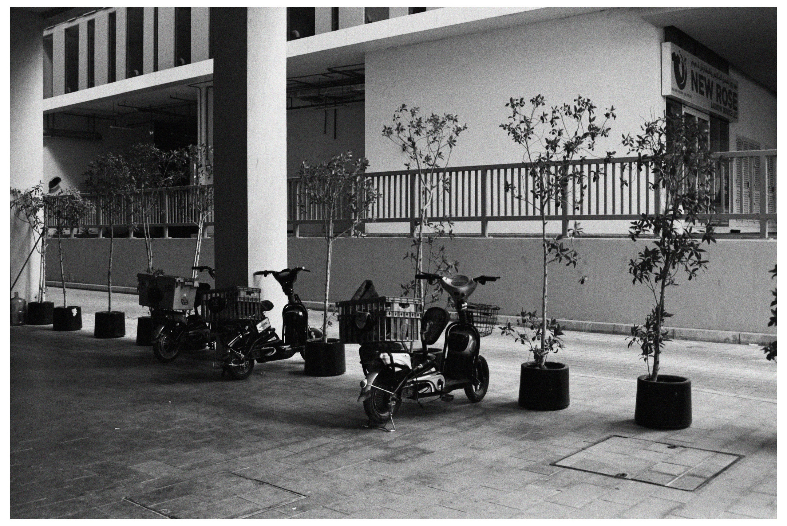 UAE. ANNA — PHOTOGRAPHER