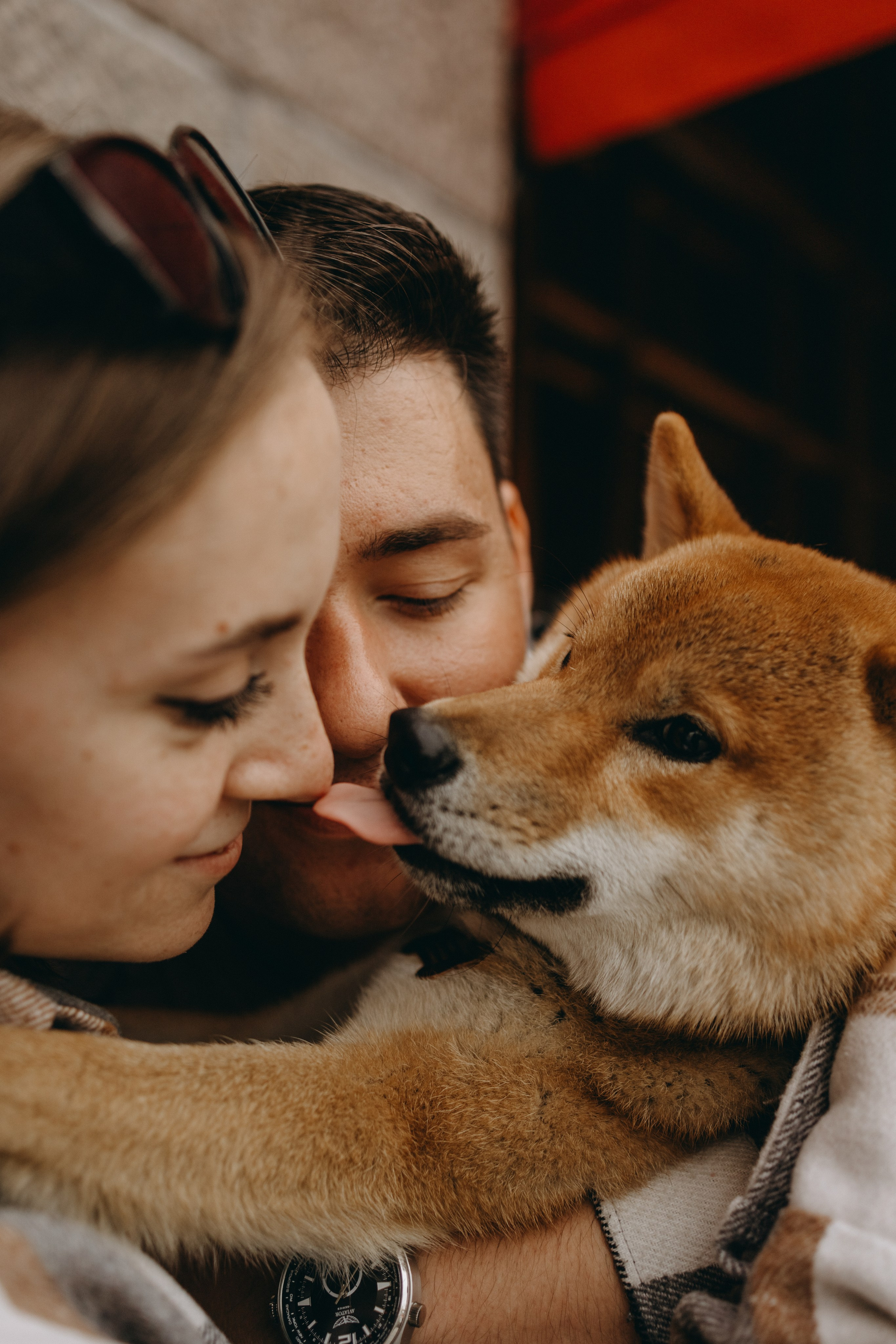 Сириус и его семья. Фотограф — Анималист | Санкт-Петербург