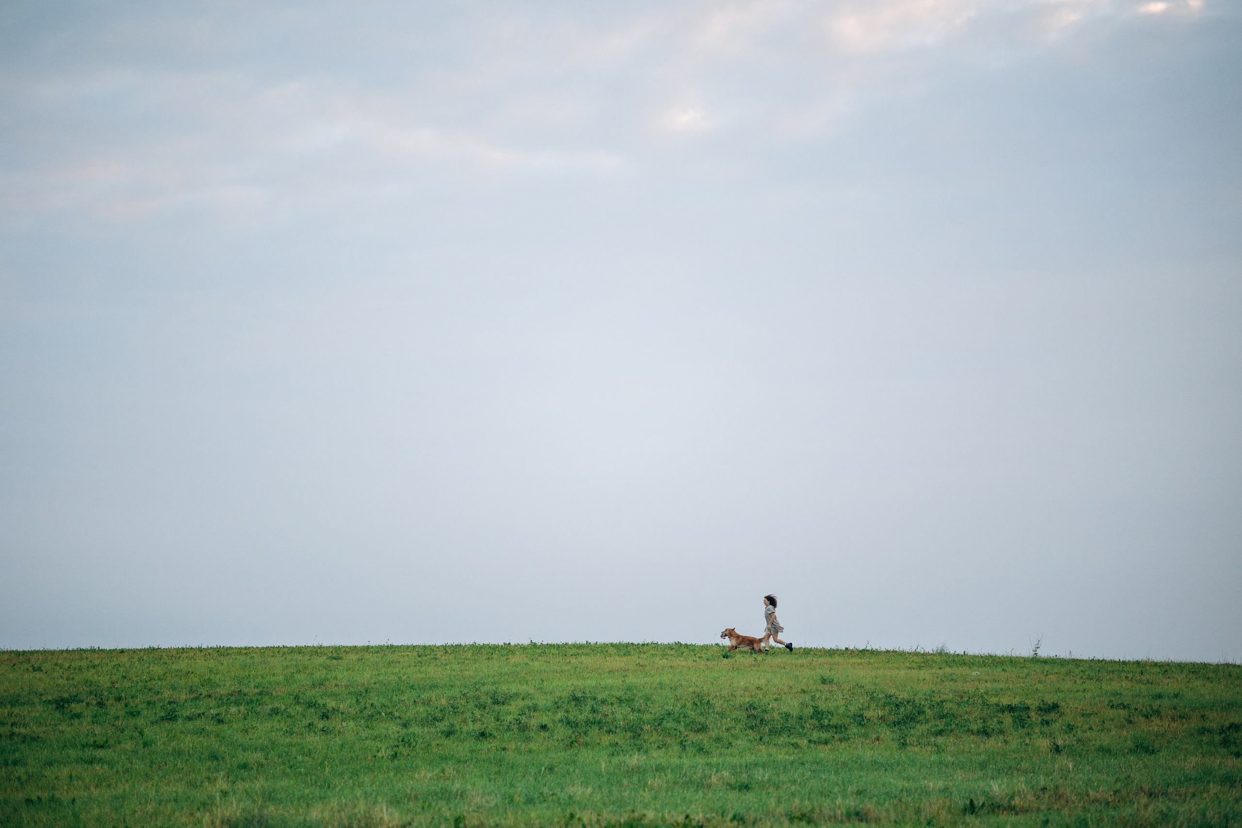 Аня и Ноллан. Фотограф — Анималист | Санкт-Петербург