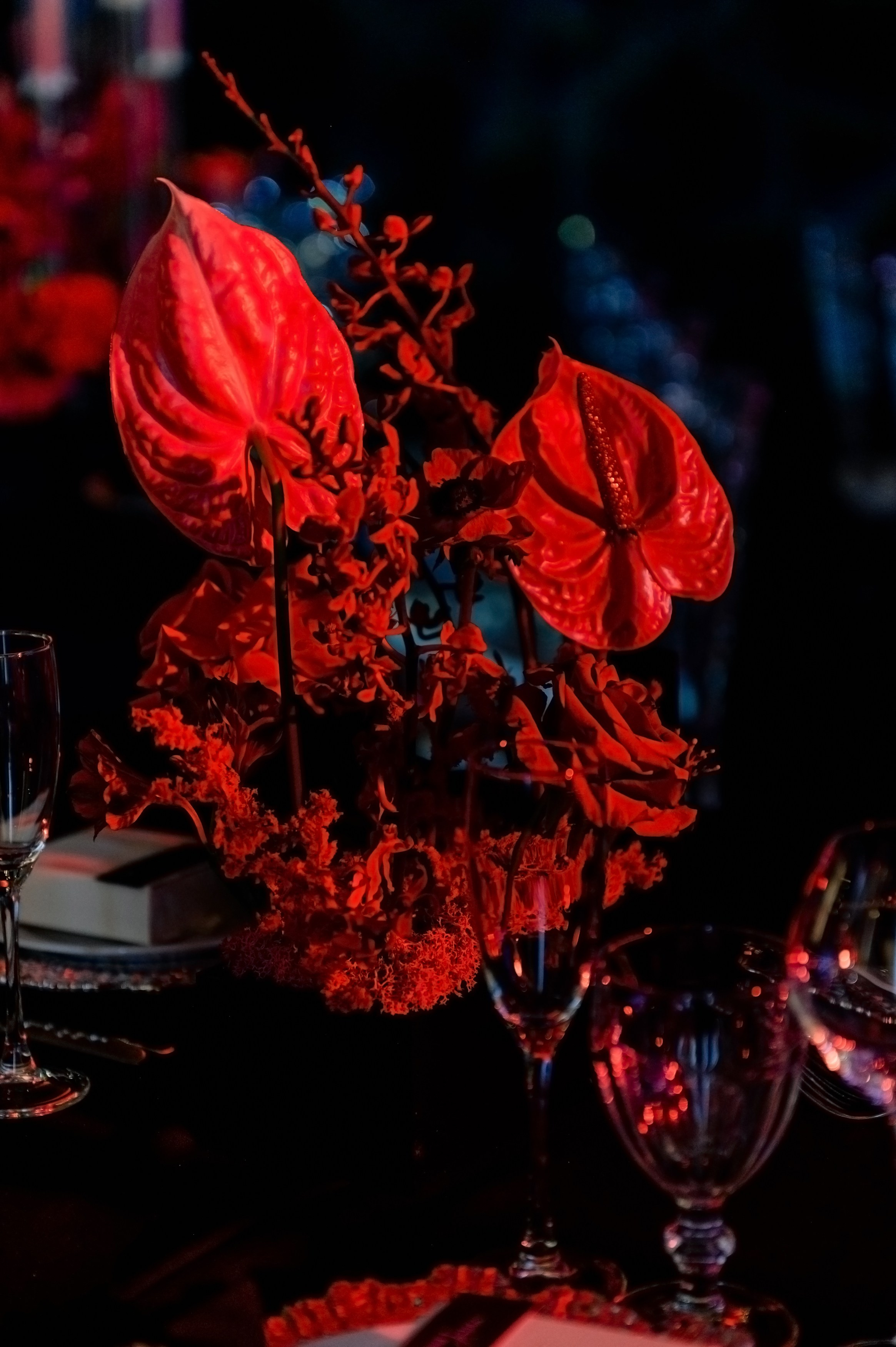 Юбилей 50 лет. Организатор Романова Любовь