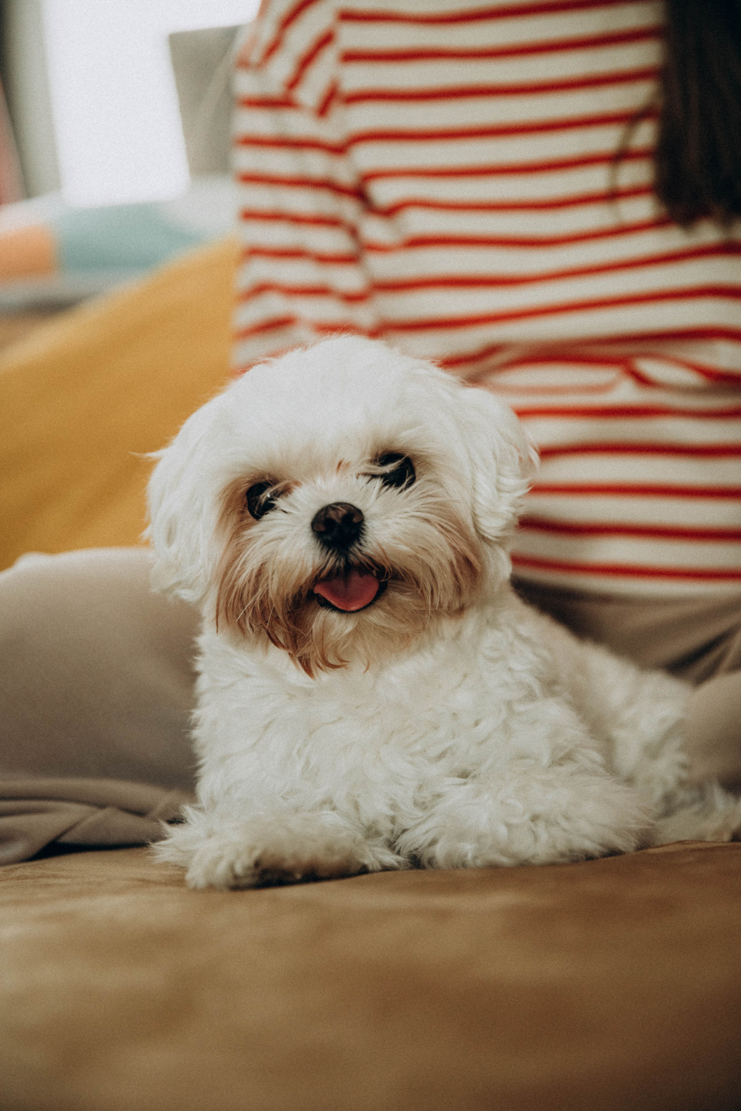 Кристина и Лева. Семейный и детский фотограф в Санкт-Петербурге Юлия Суркова