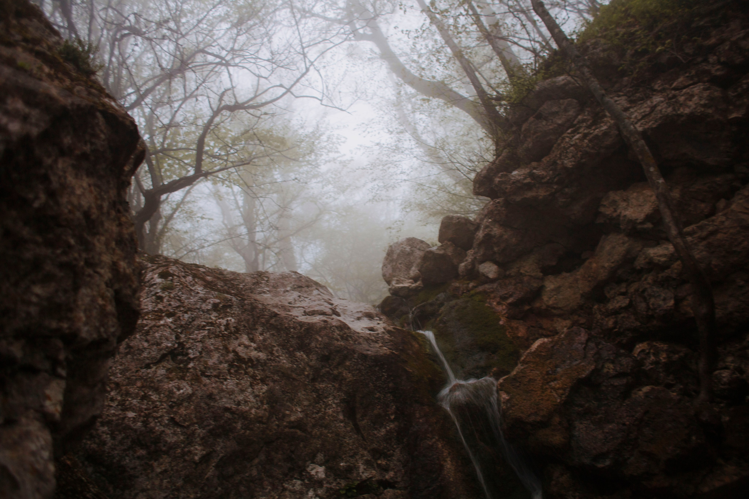 МореНебоОблака. Ваш портретный фотограф в Москве Катя Прокофьева