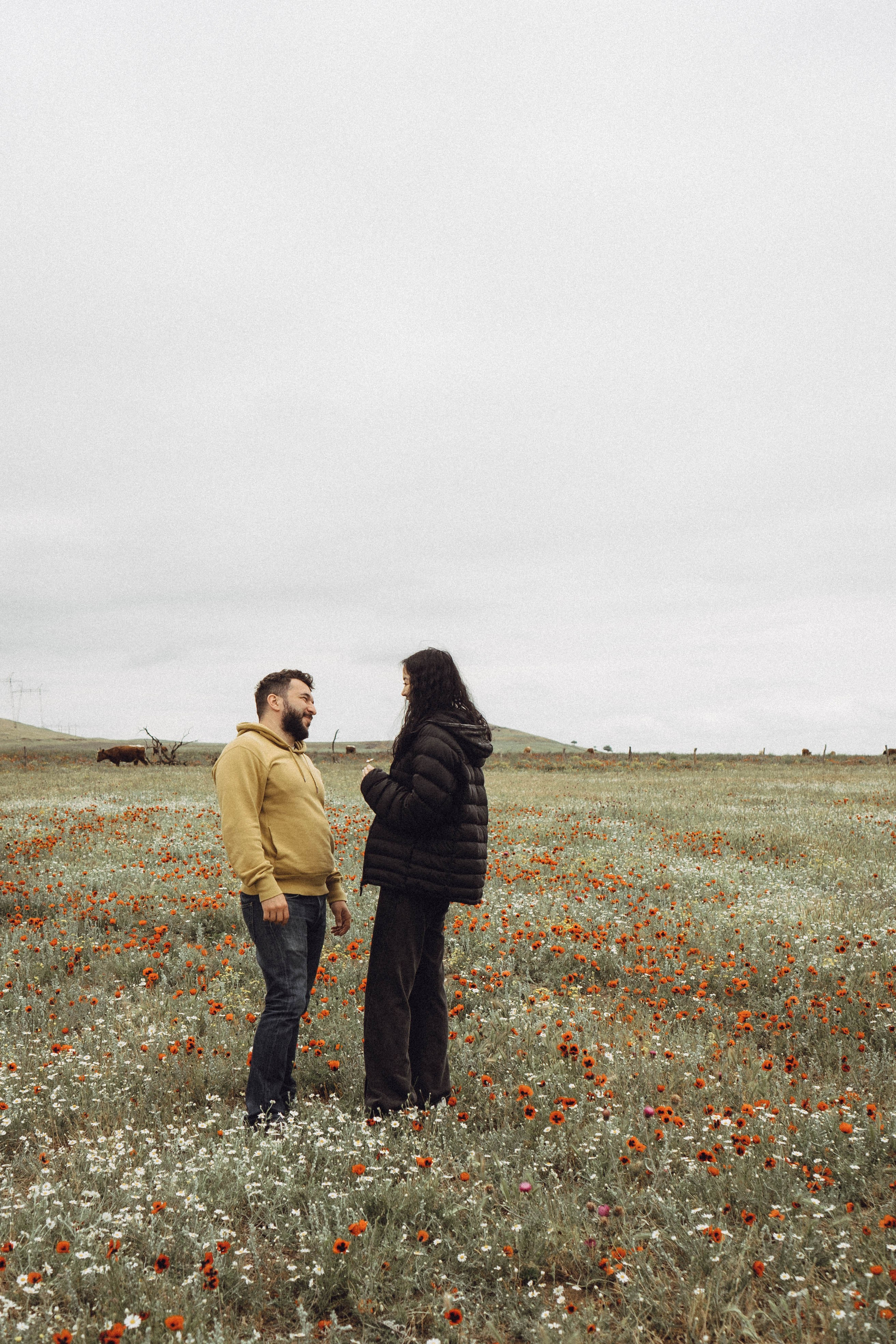 Любовь в маковом поле. Профессиональный фотограф, Санкт-Петербург — Виктория Богомолова
