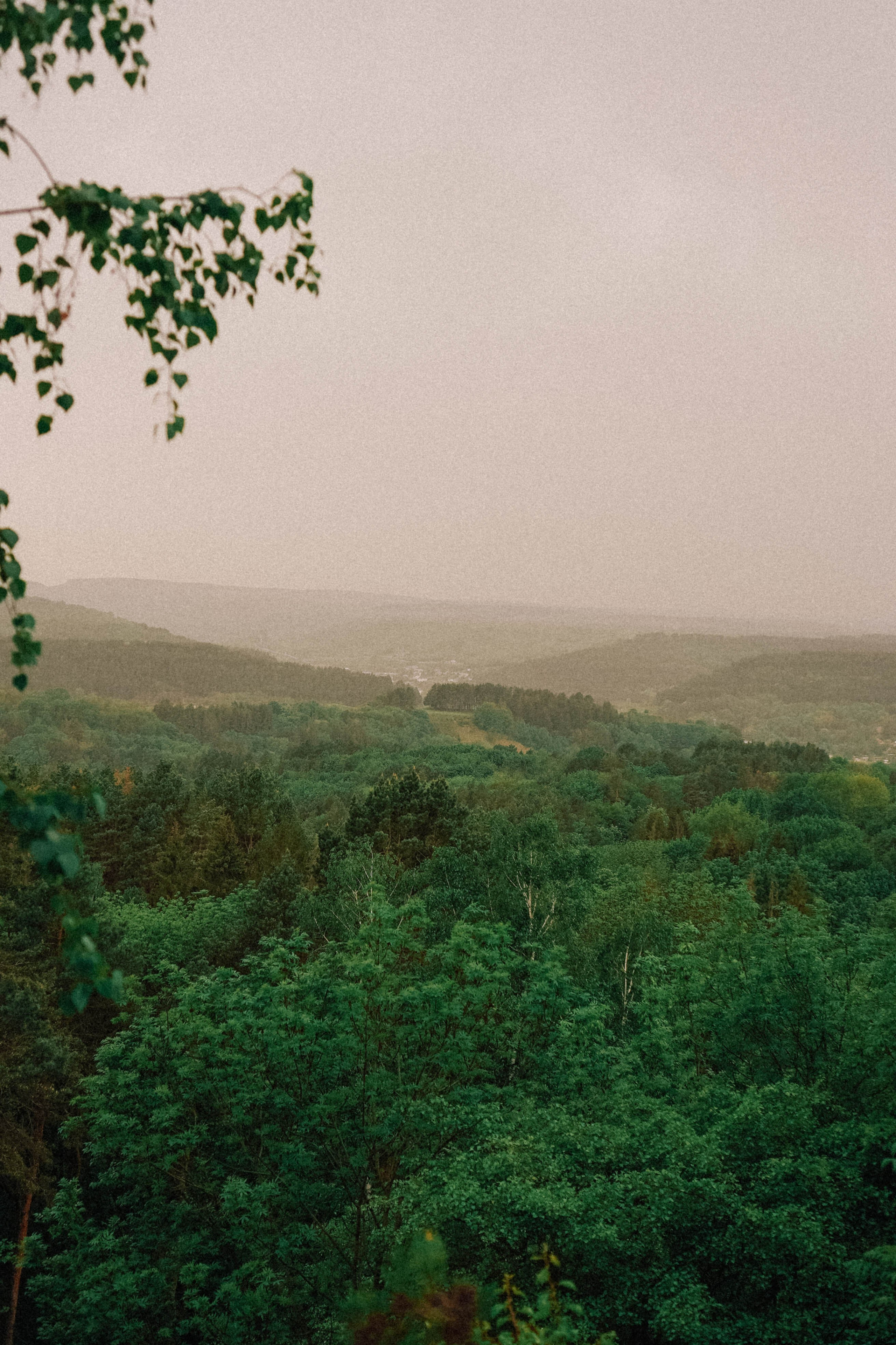 КИСЛОВОДСК. Профессиональный фотограф, Санкт-Петербург — Виктория Богомолова
