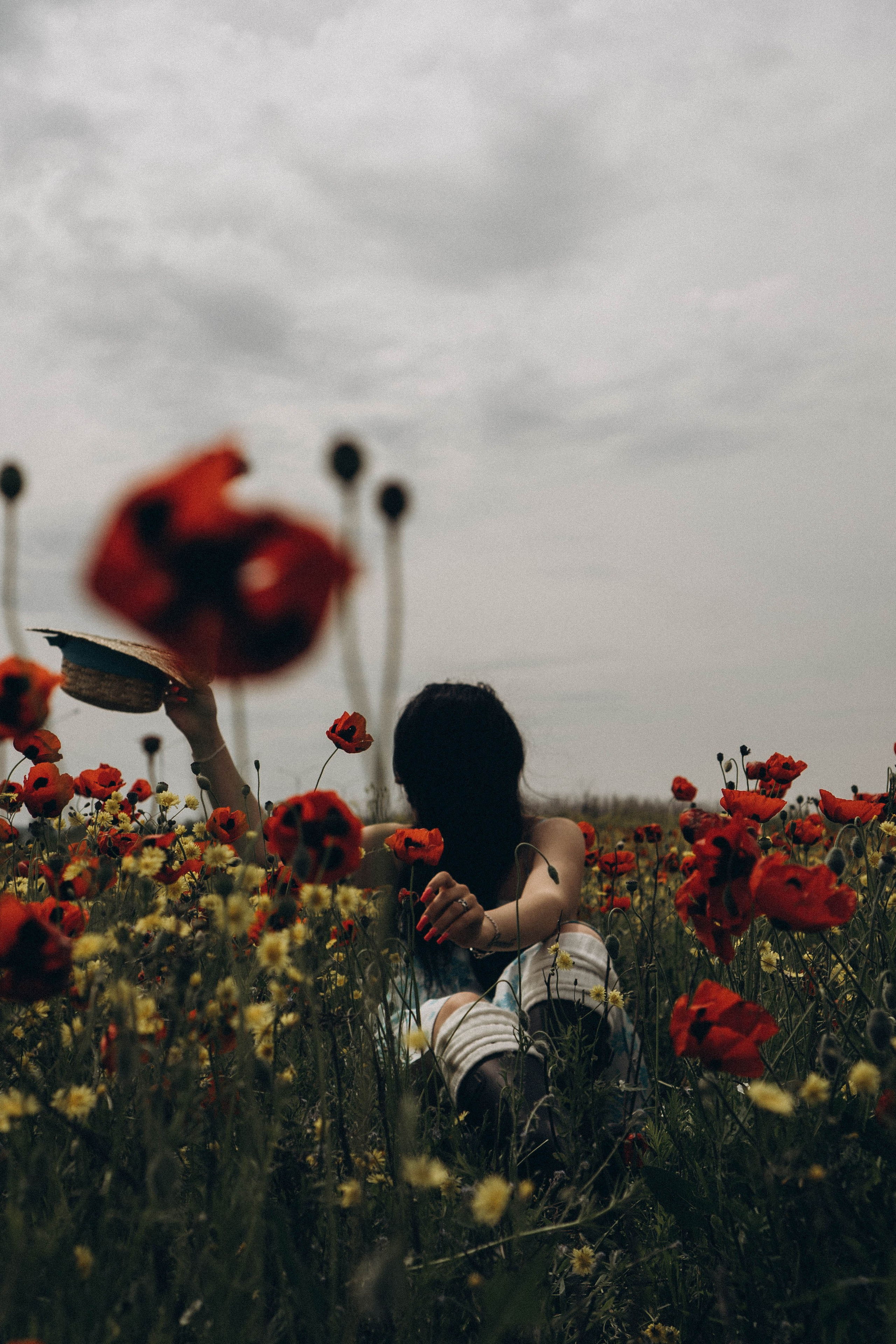 Цветочная поляна. Профессиональный фотограф, Санкт-Петербург — Виктория Богомолова