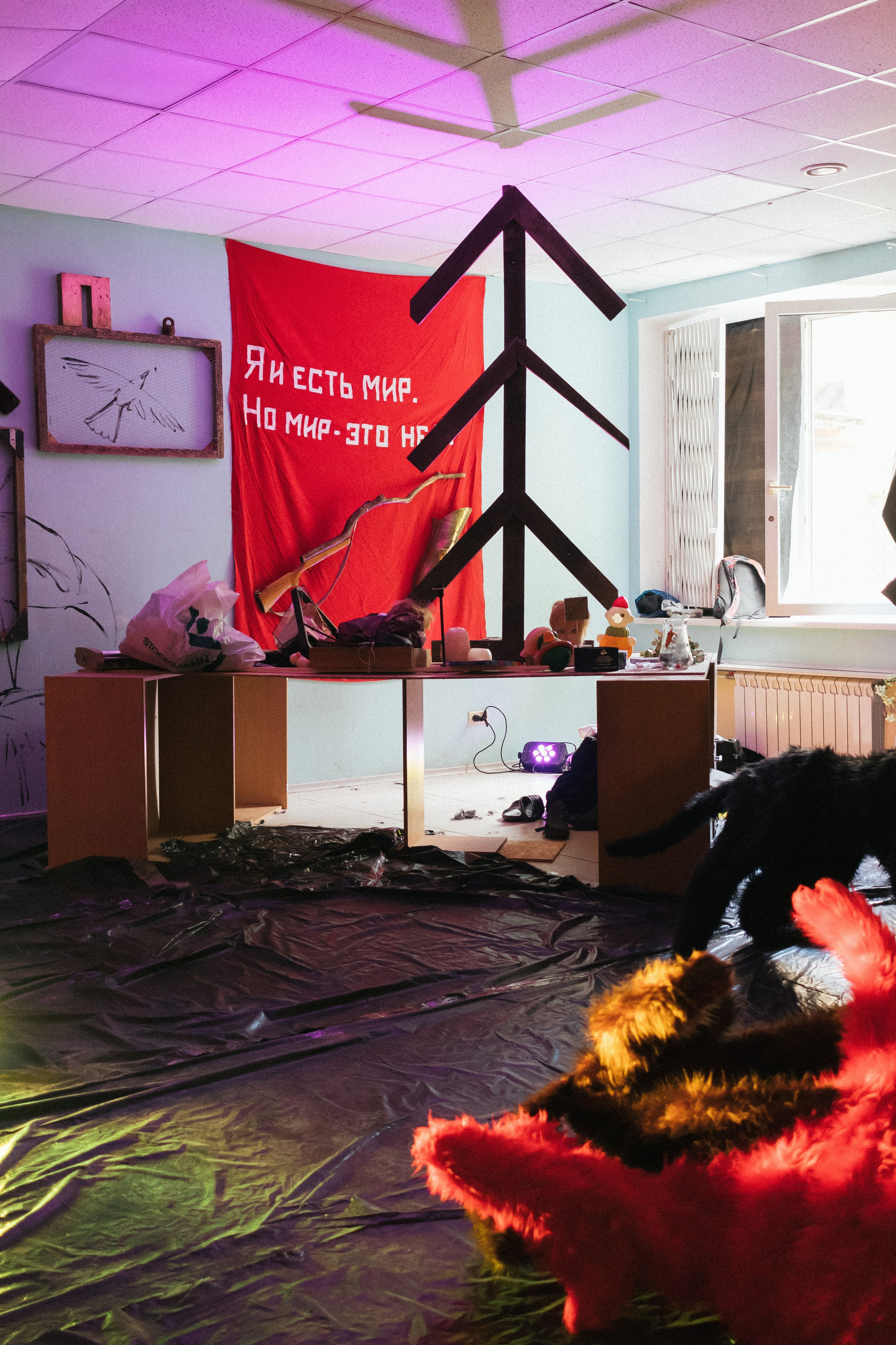 Фестивали, выставки. Коммерческий фотограф в Санкт-Петербурге (СПб) Екатерина Панчёха, Панчёшка