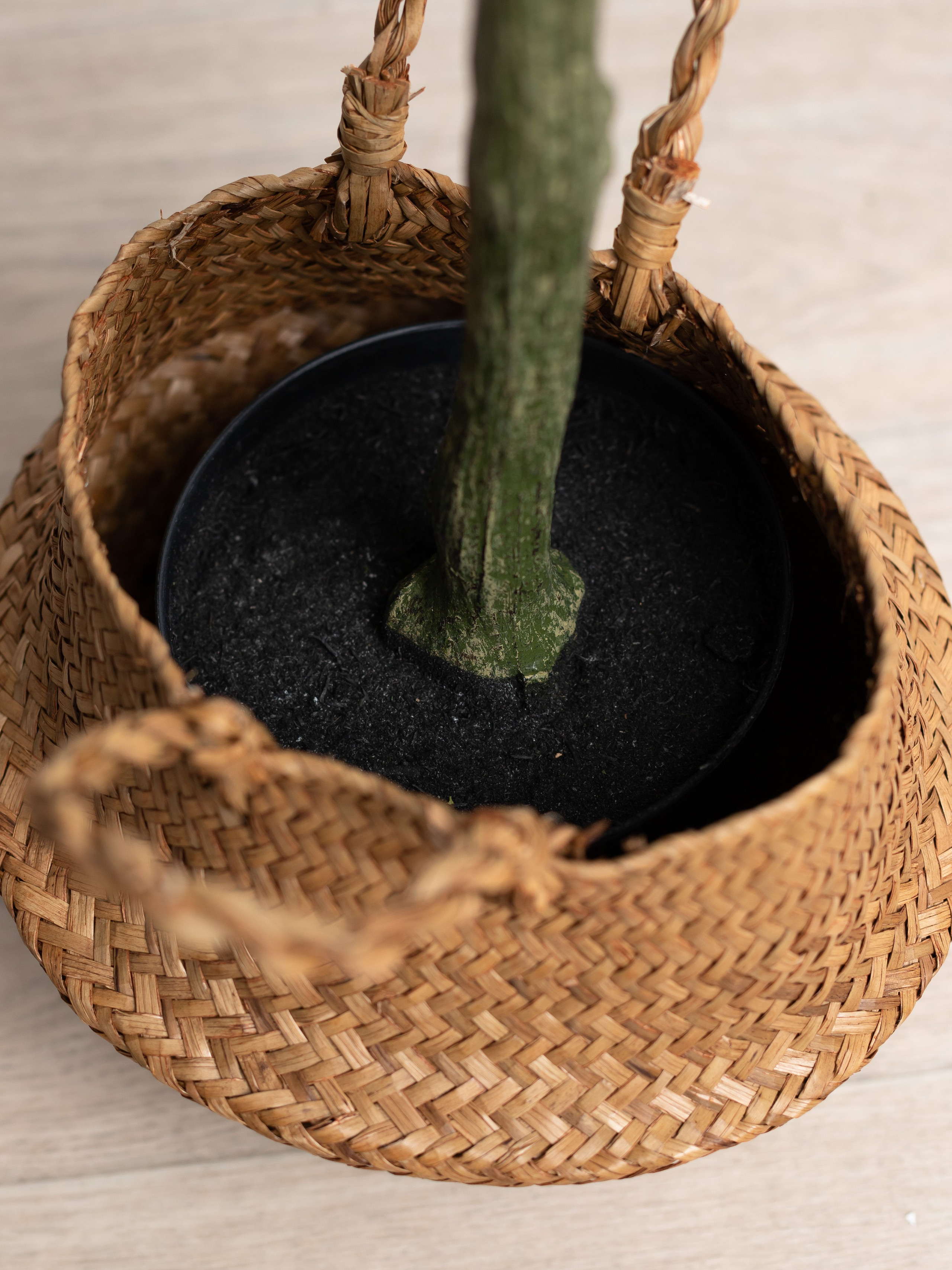 Искусственное дерево. Коммерческий фотограф в Санкт-Петербурге (СПб) Екатерина Панчёха, Панчёшка