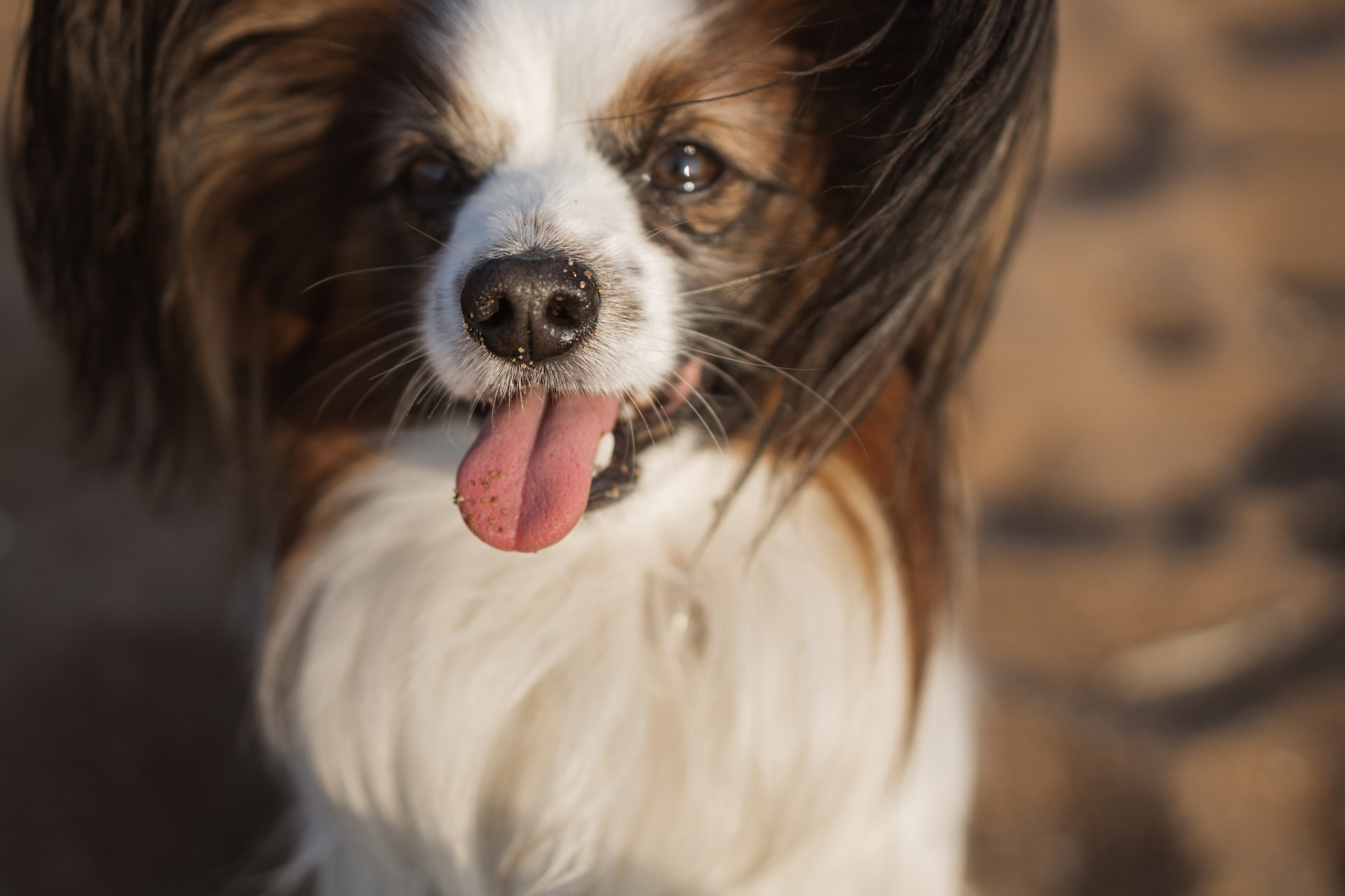 Прогулочная фотосессия. Портретный фотограф СПб, женский фотограф, минимализм и эстетика