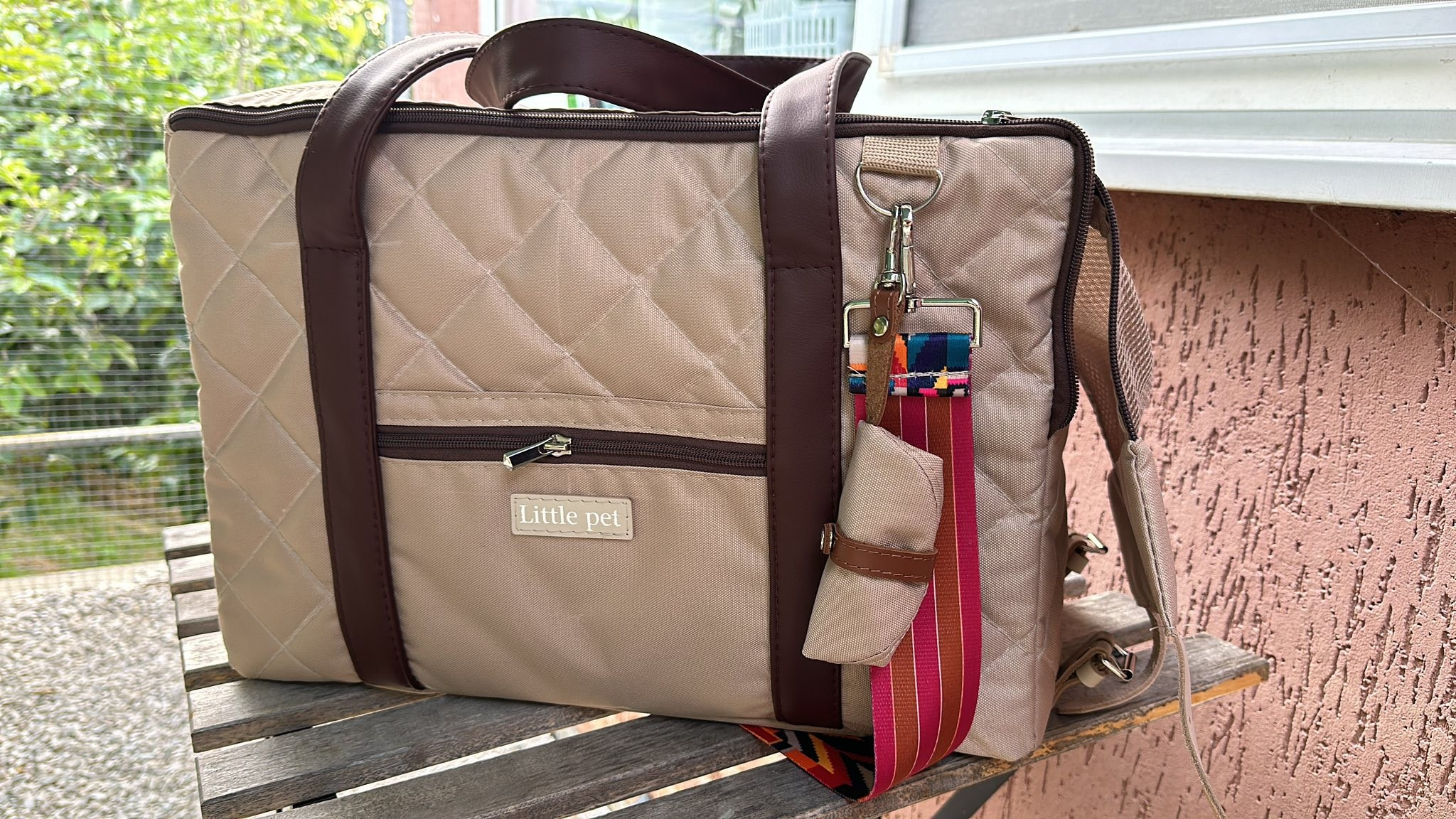 Путешествия. Профессиональный питомник левреток РКФ/FCI ASTI SAPPHIRE 💎 Сочи|Санкт-Петербург