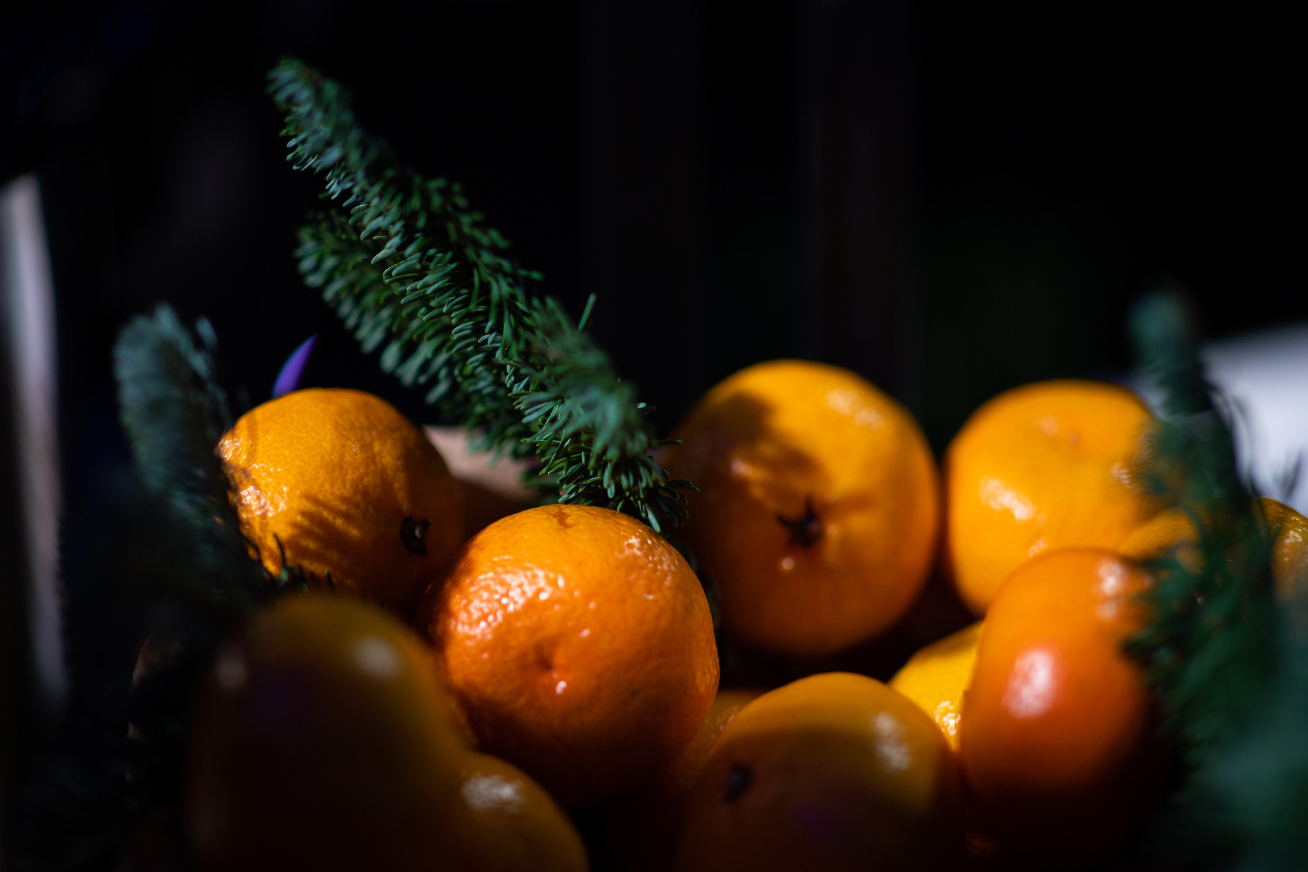 Репортаж. Фотограф в Санкт-Петербурге Степанская Юлия