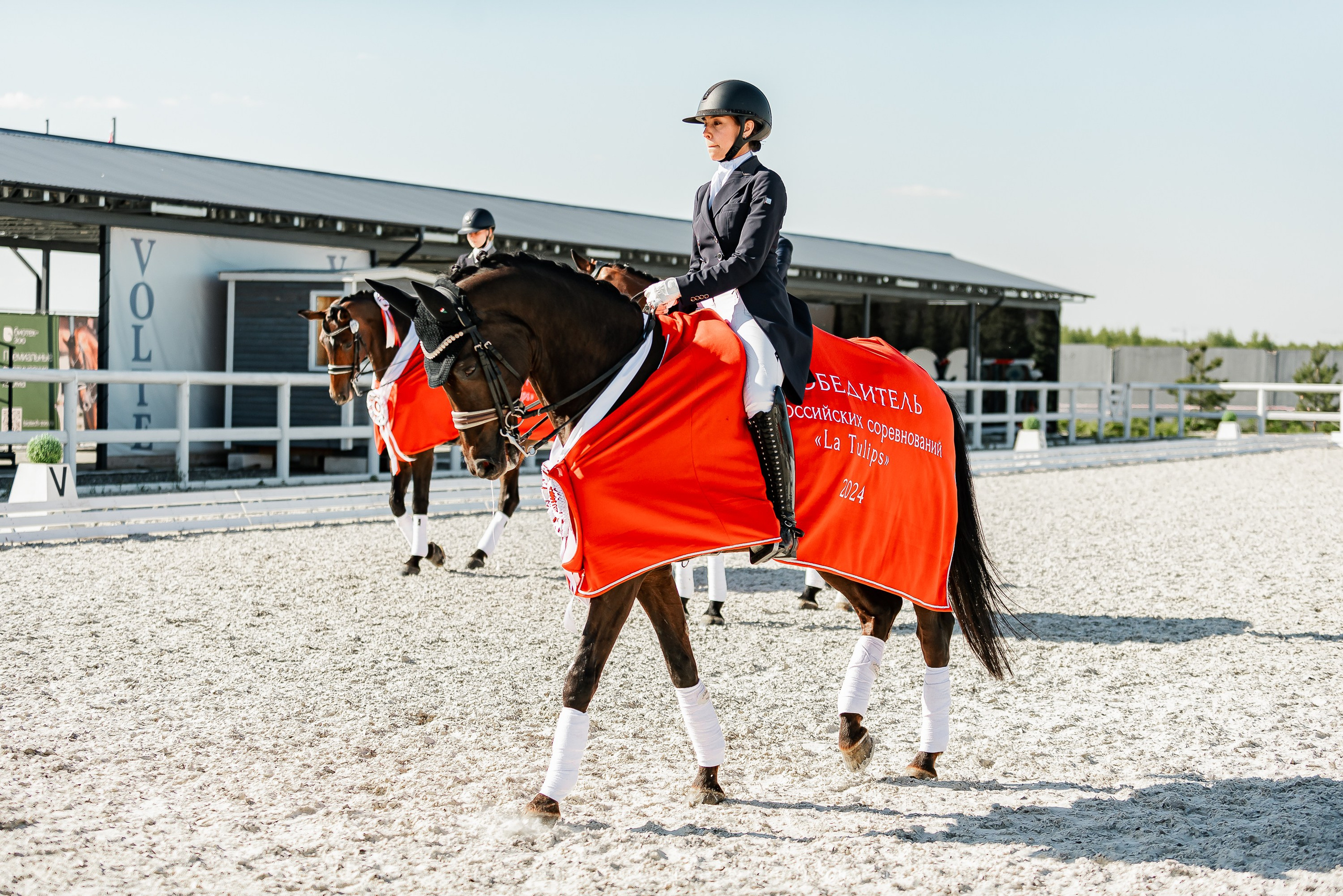 РЕПОРТАЖ МКК ВОЛЬТ «LA TULIPS». Конный фотограф Куракина Дарья • Фотосессии с лошадьми