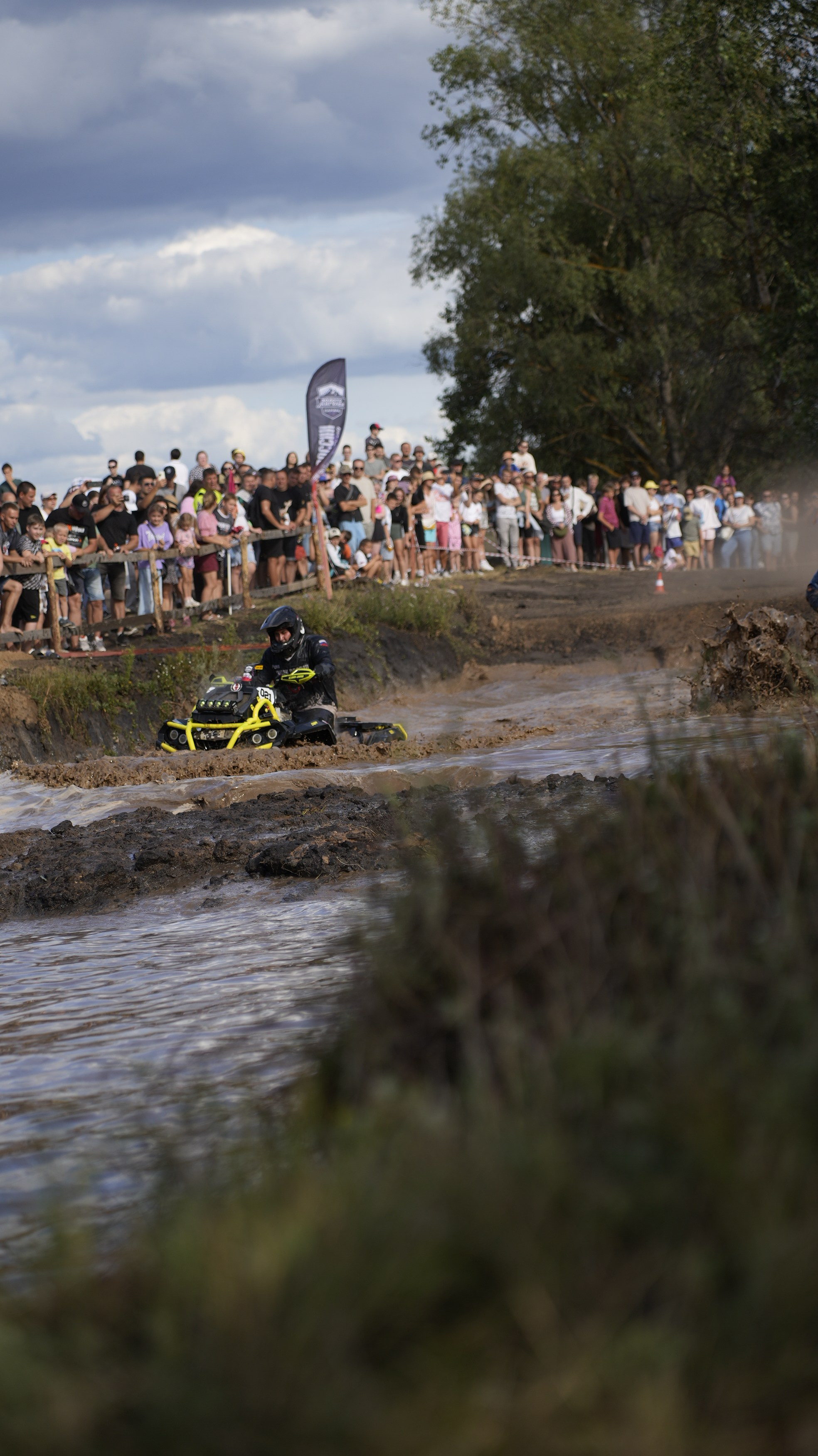 Asset. Георгий Новиков