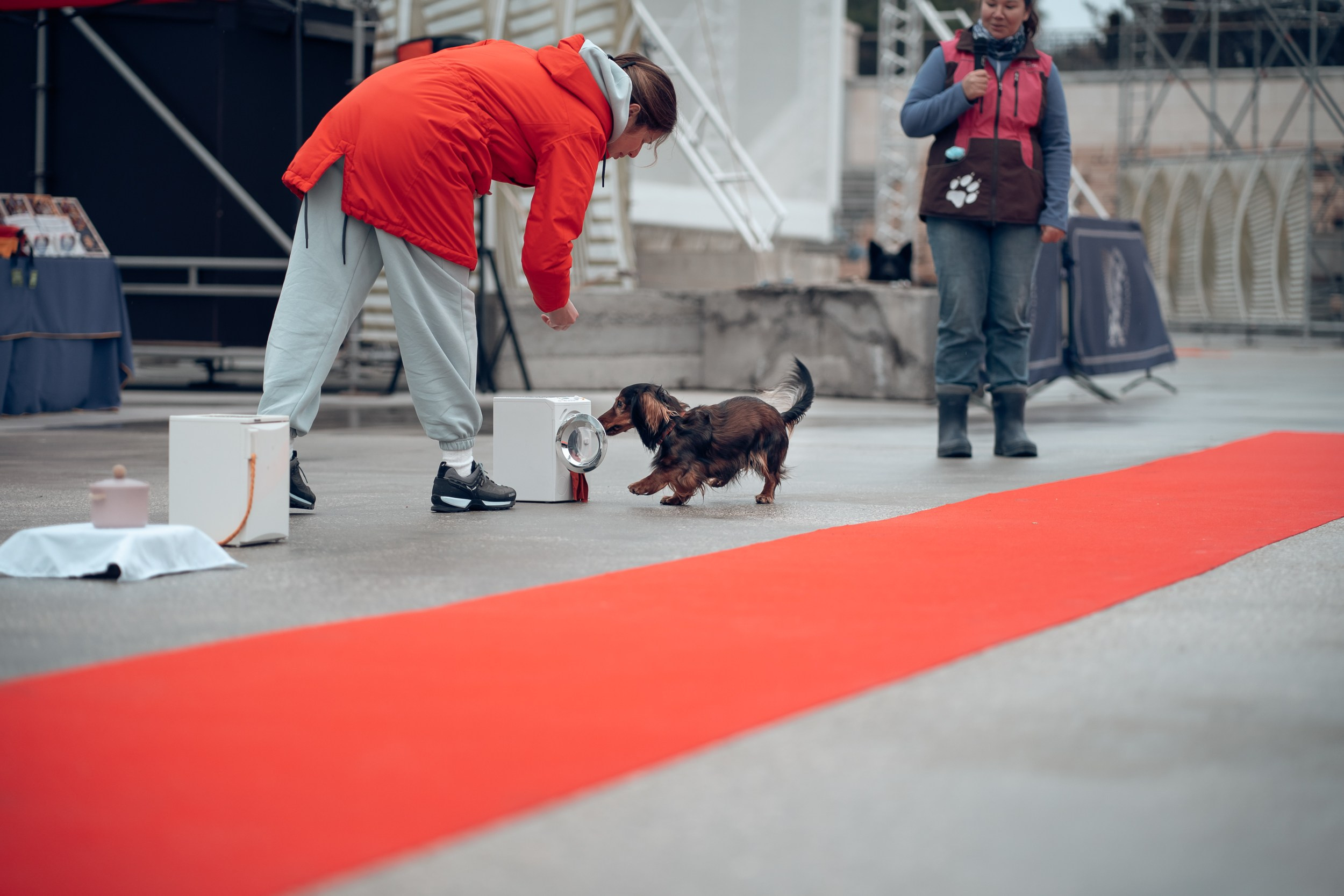 Благотворительная выставка собак в Новом Херсонесе г. Севастополь. Церковный фотограф Севастополь