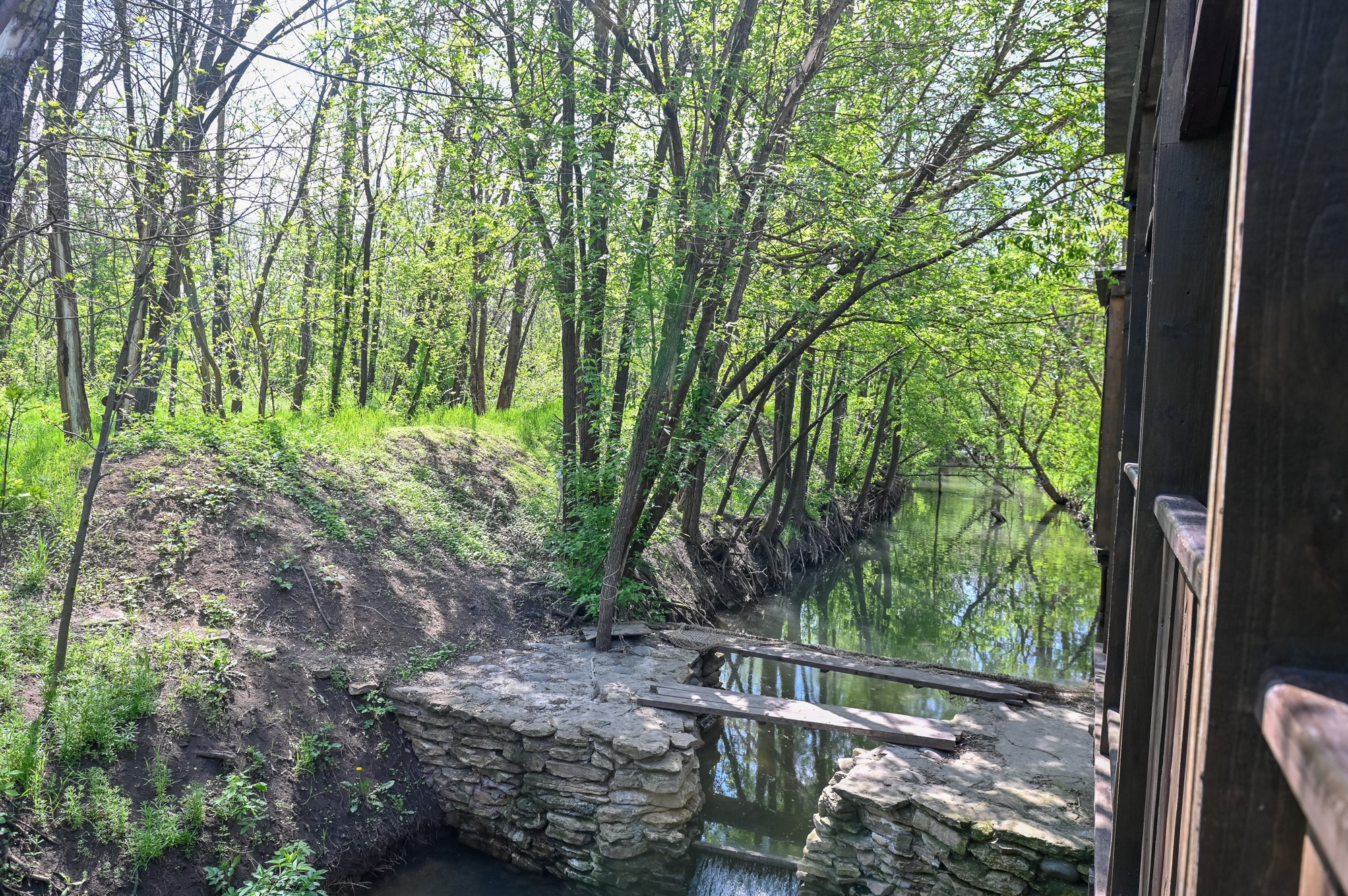 База Тургенев