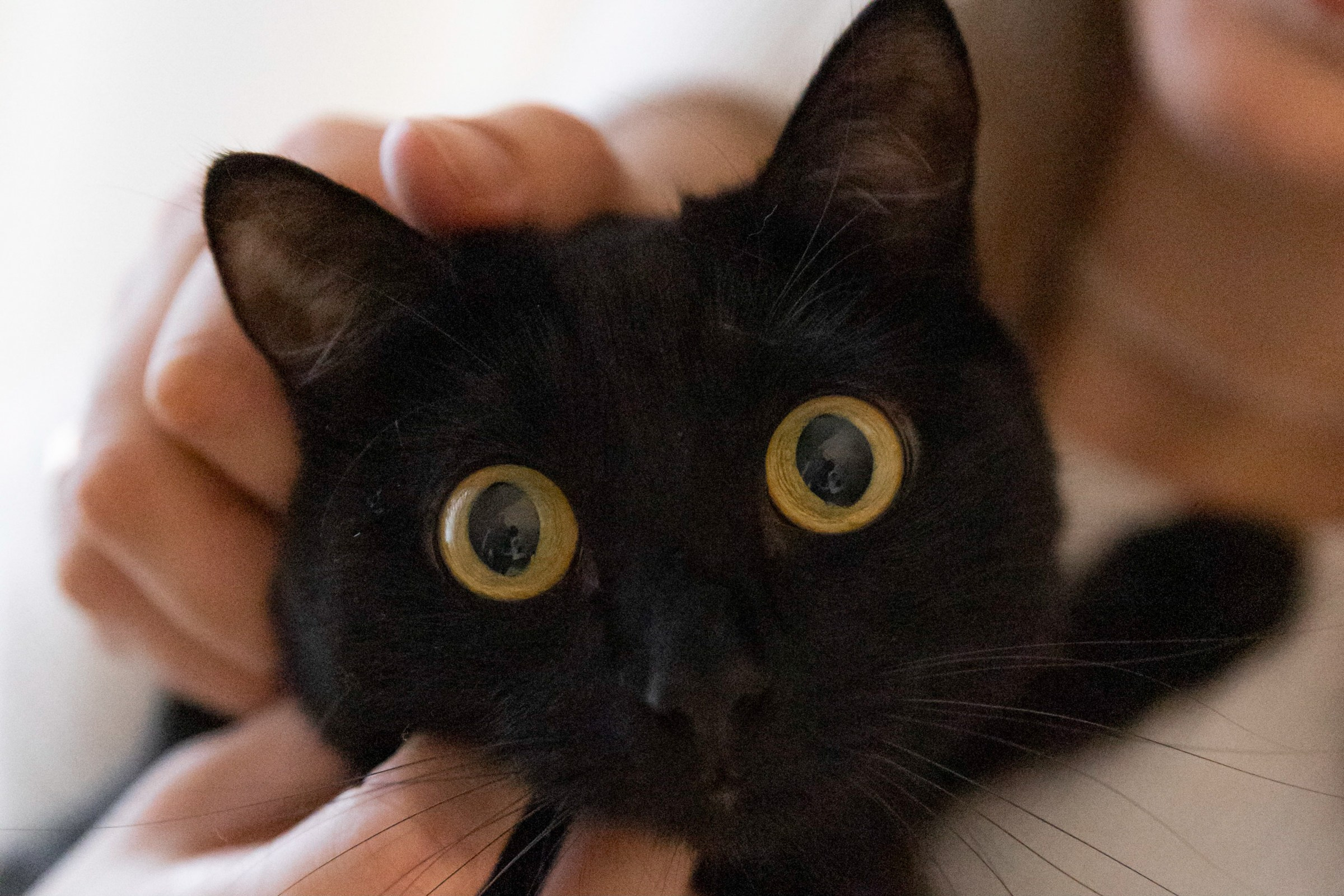 Распаковывать подарки. Свадебный фотограф Марьям Сайфулина г. Красноярск