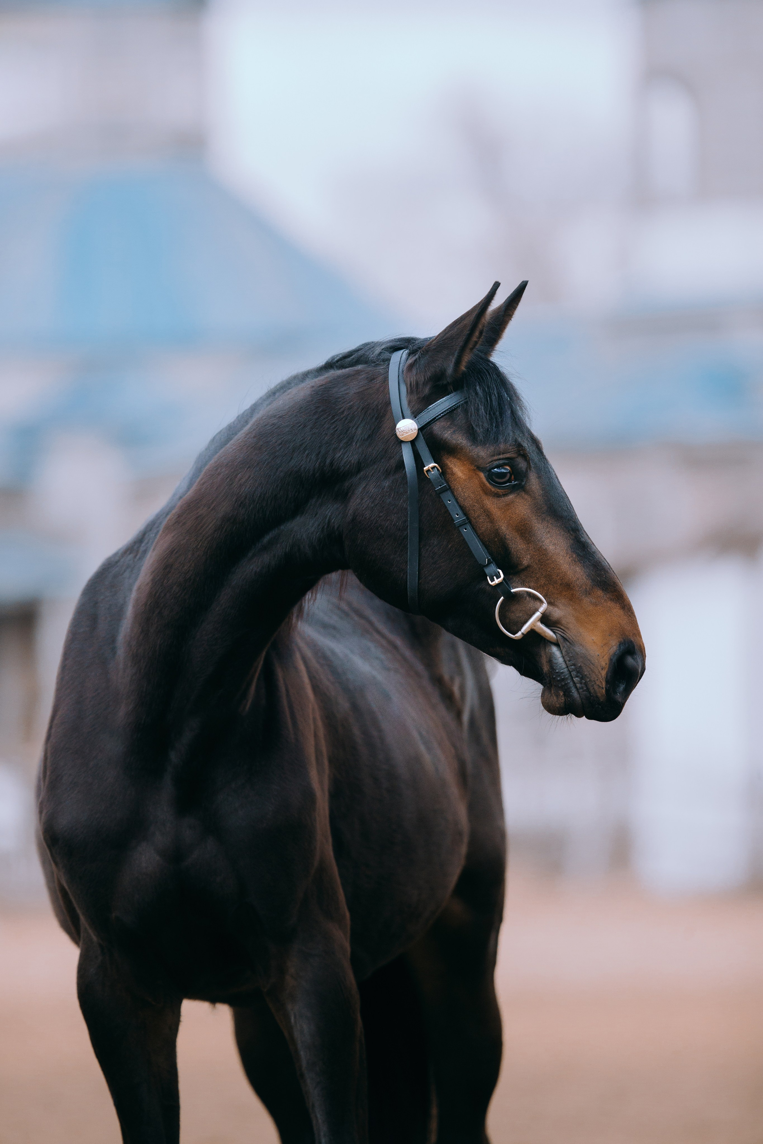 На природе. Фотограф-анималист Ксендзова Кристина